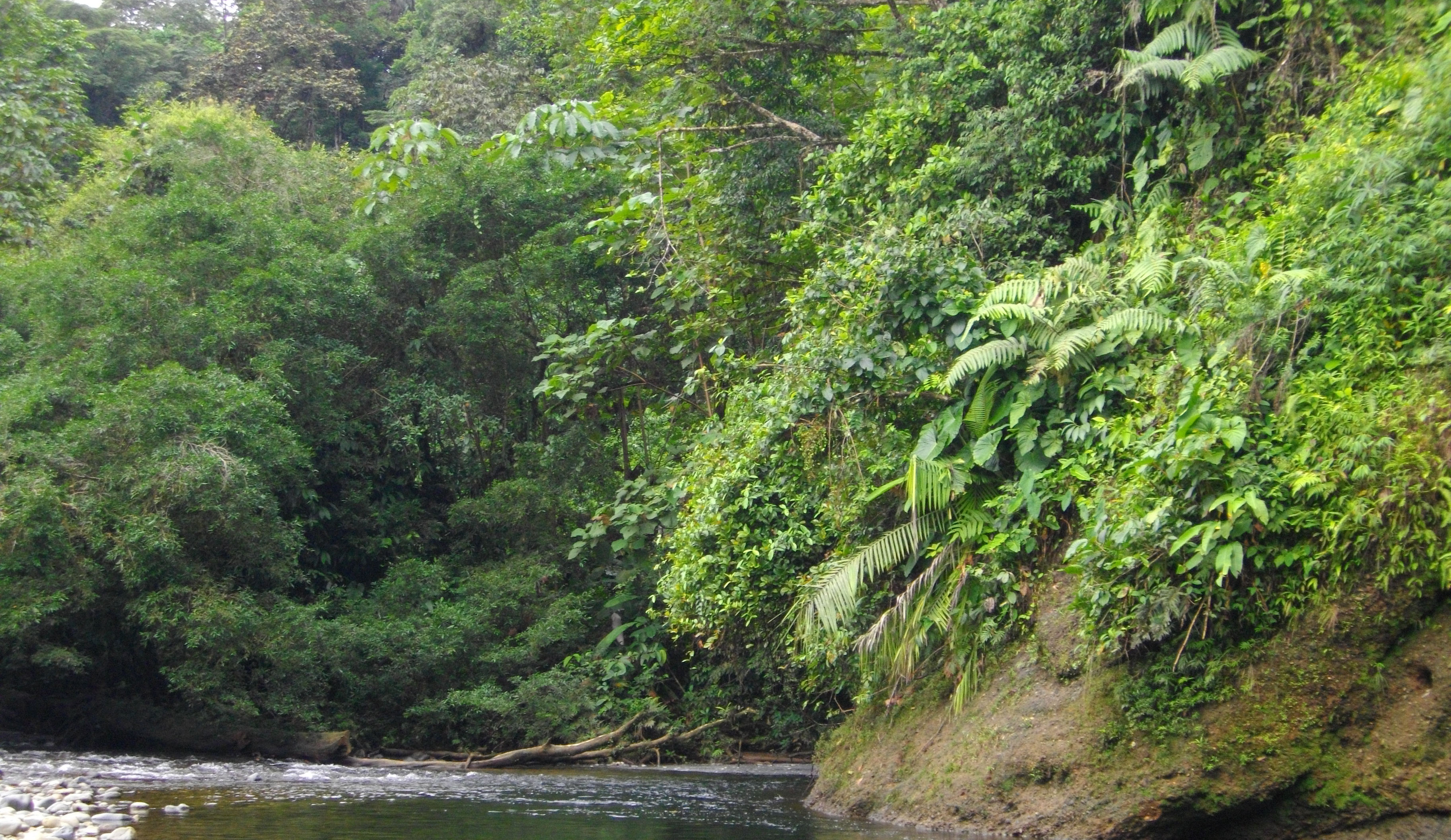 image San Cipriano