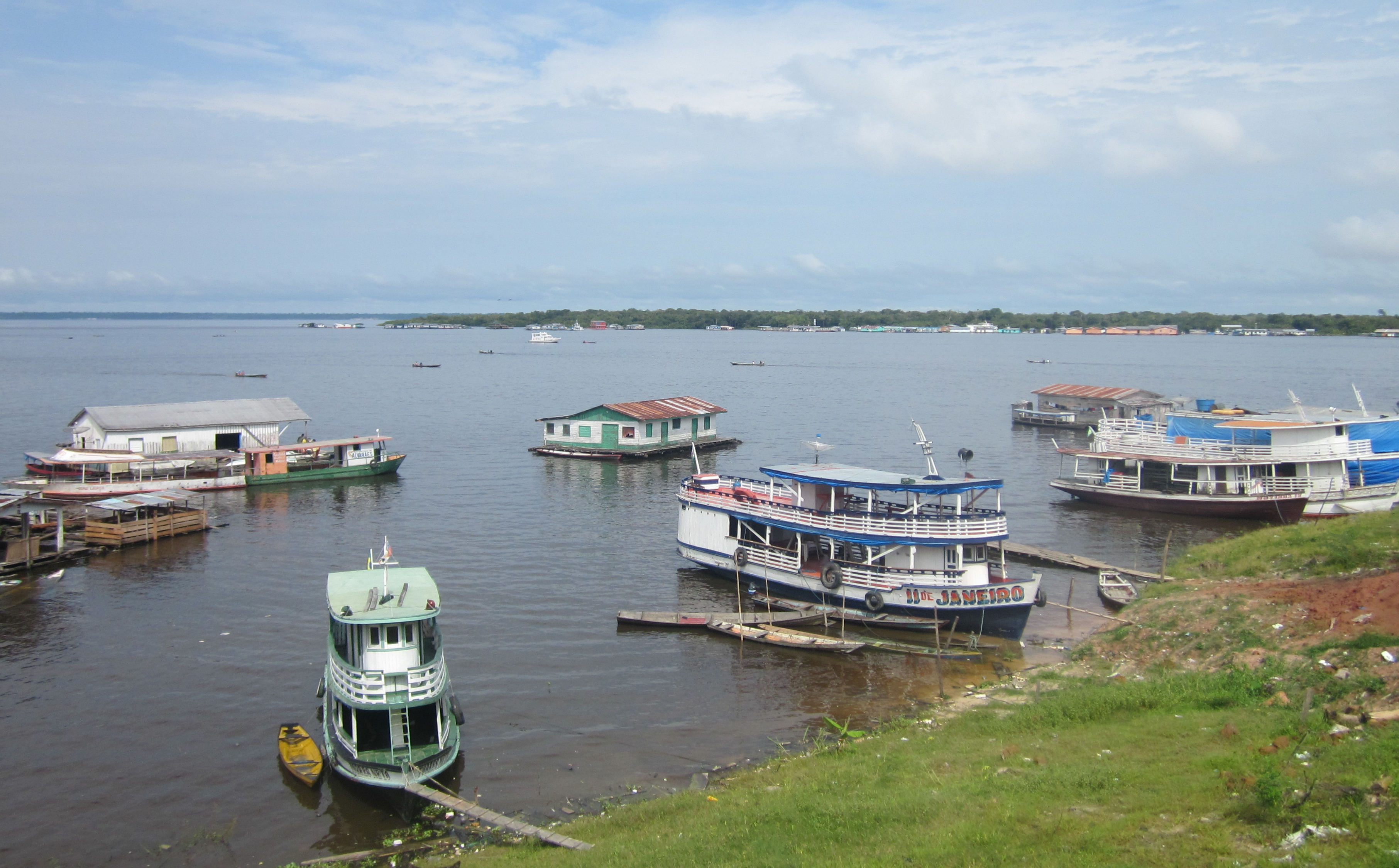 image Amazonas