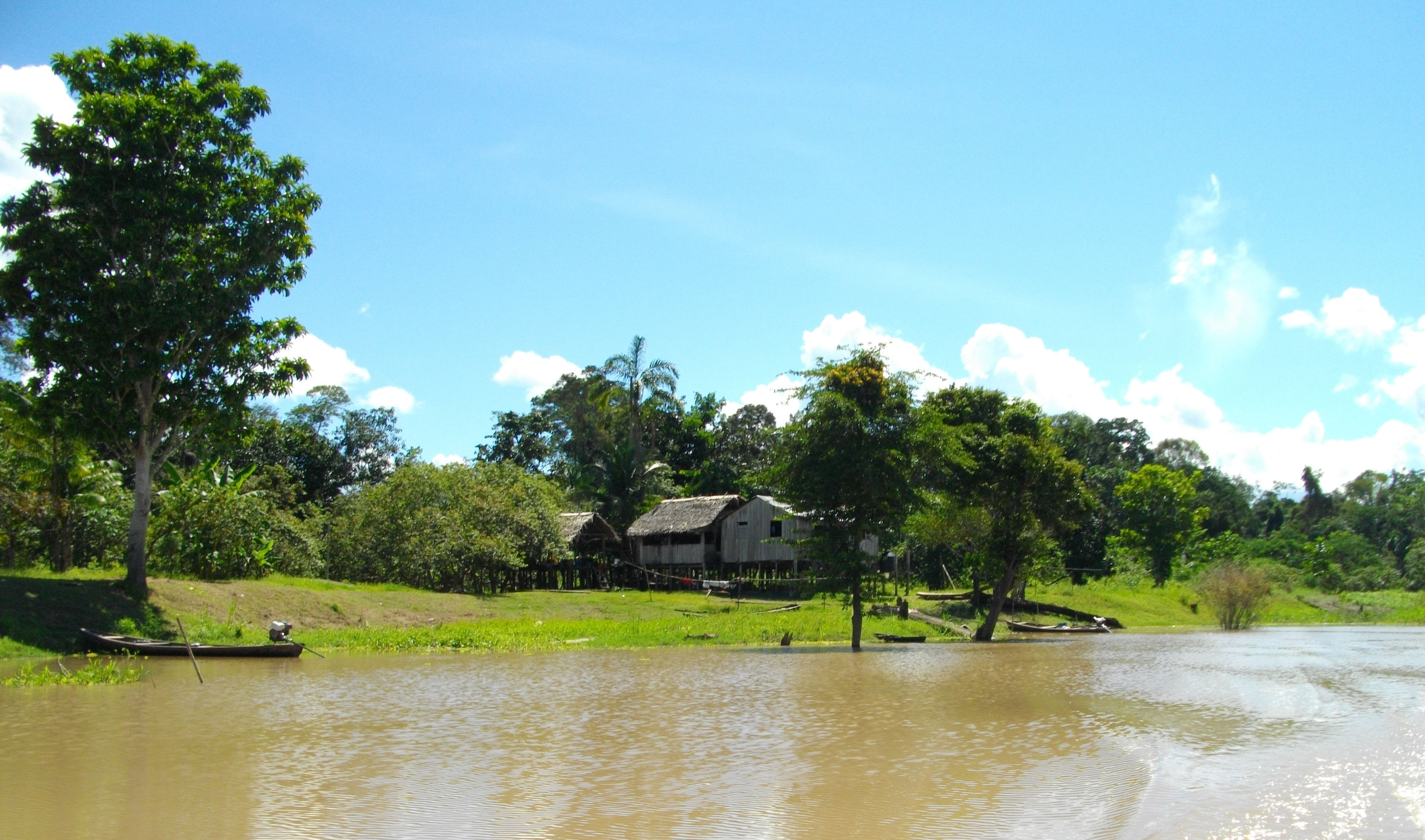 image Amazonas