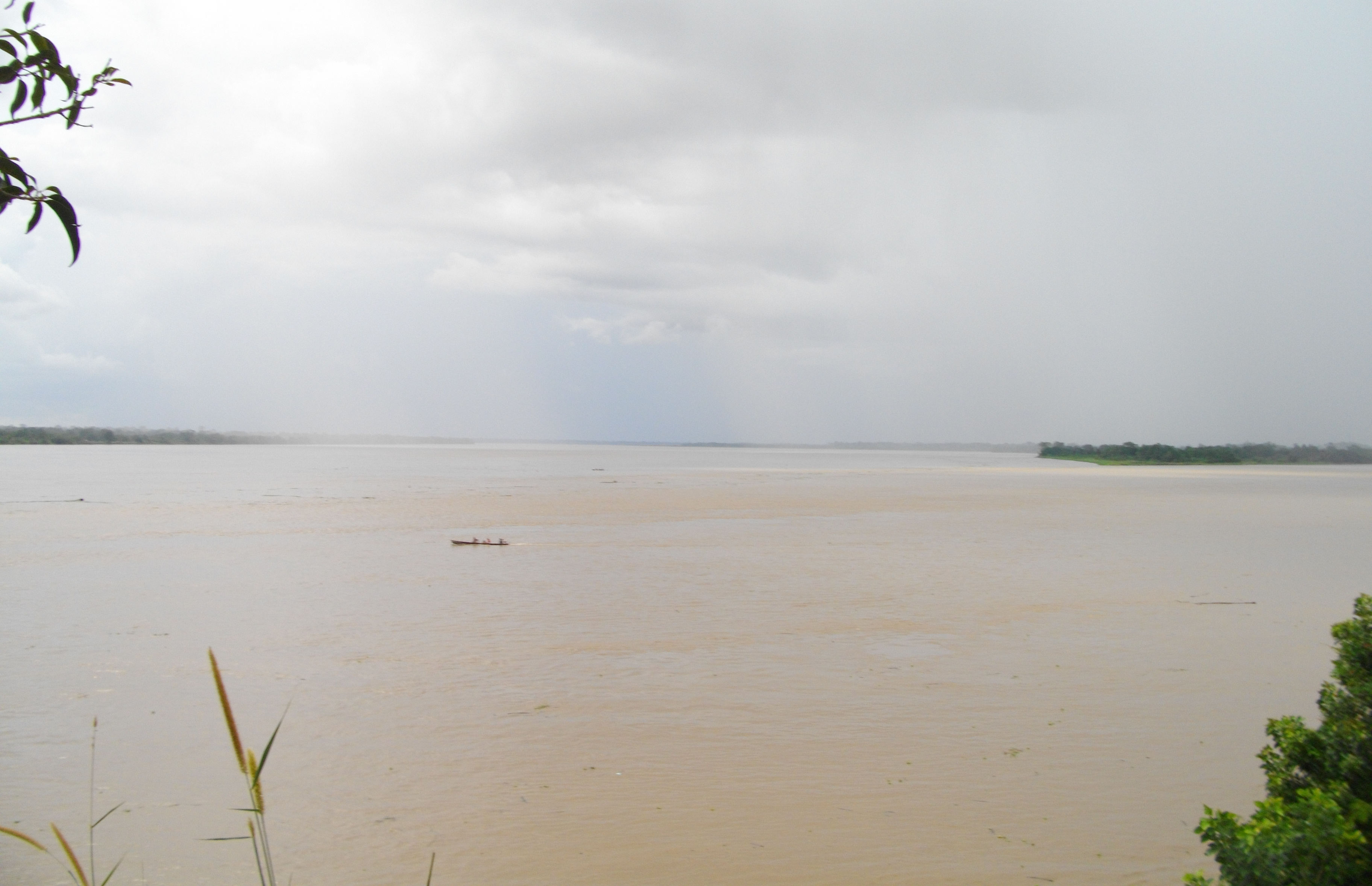 image Amazonas
