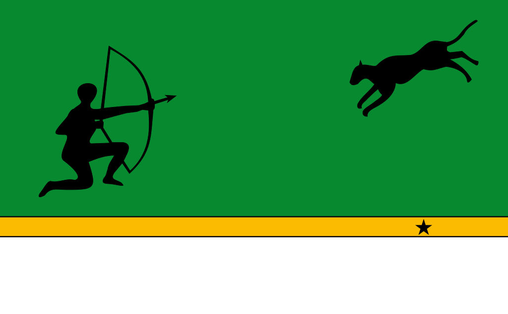 flag Amazonas