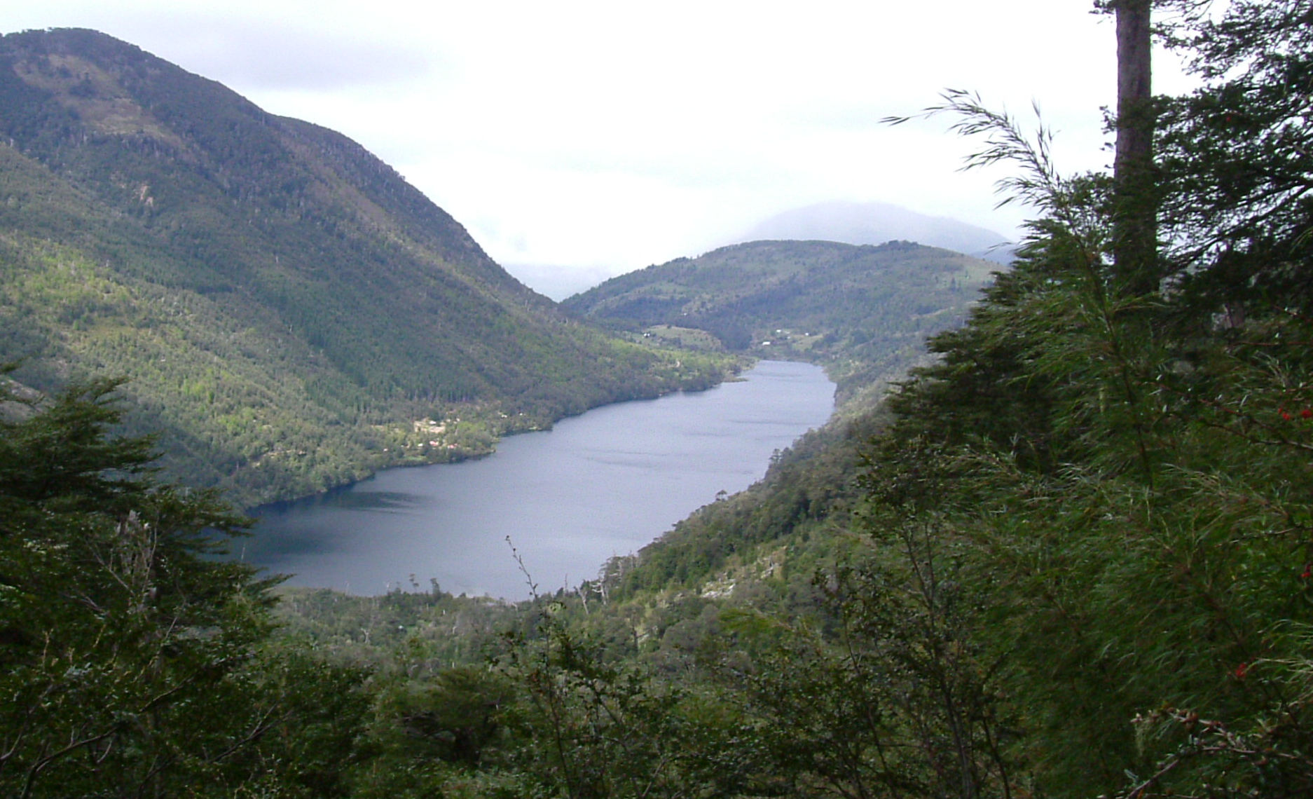image Araucania