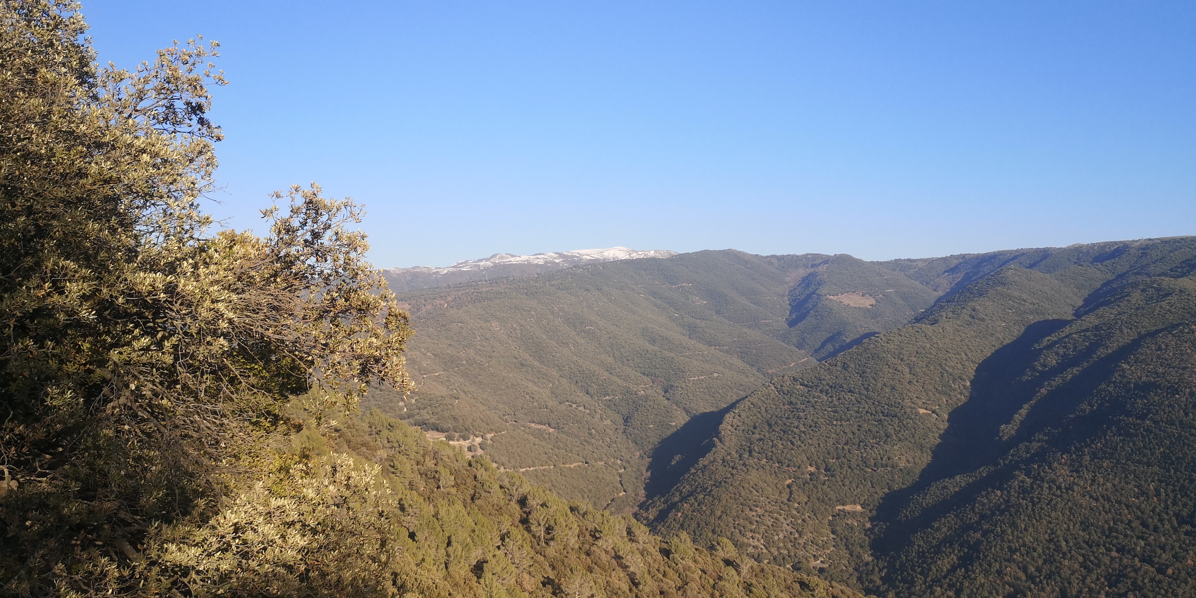 image Montseny
