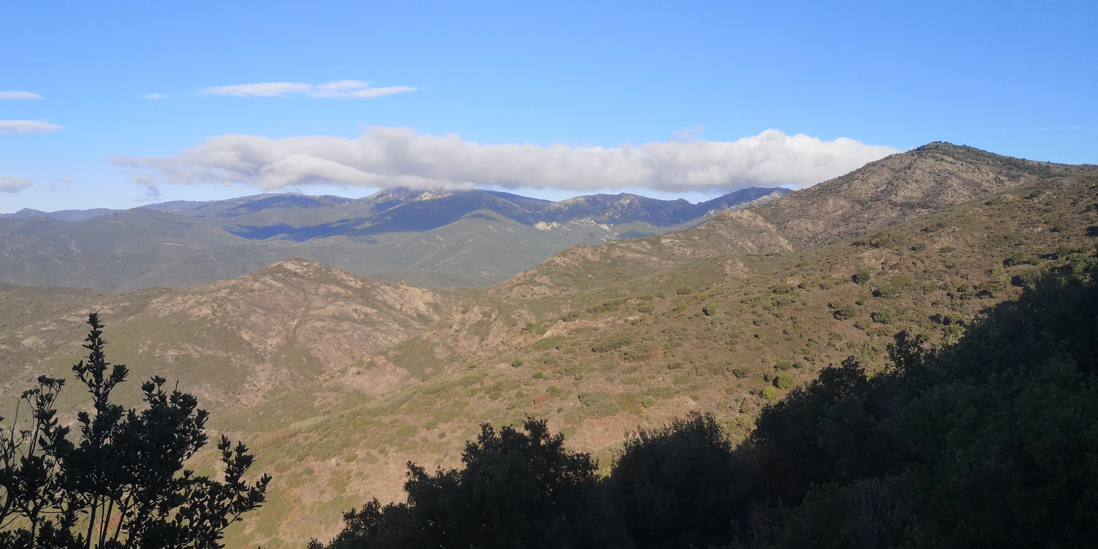 image Les Pyrénées