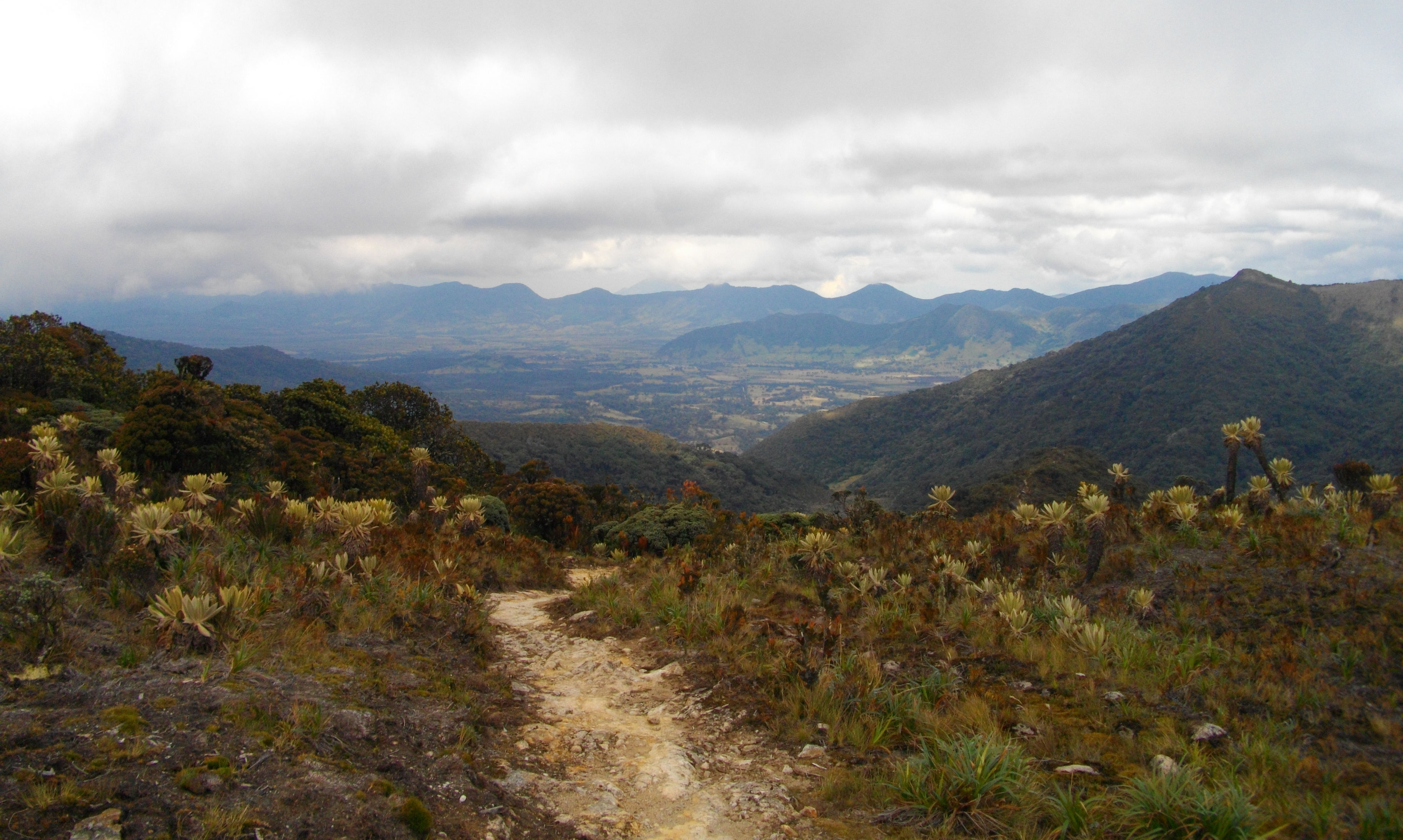 image Parque Nacional Purace