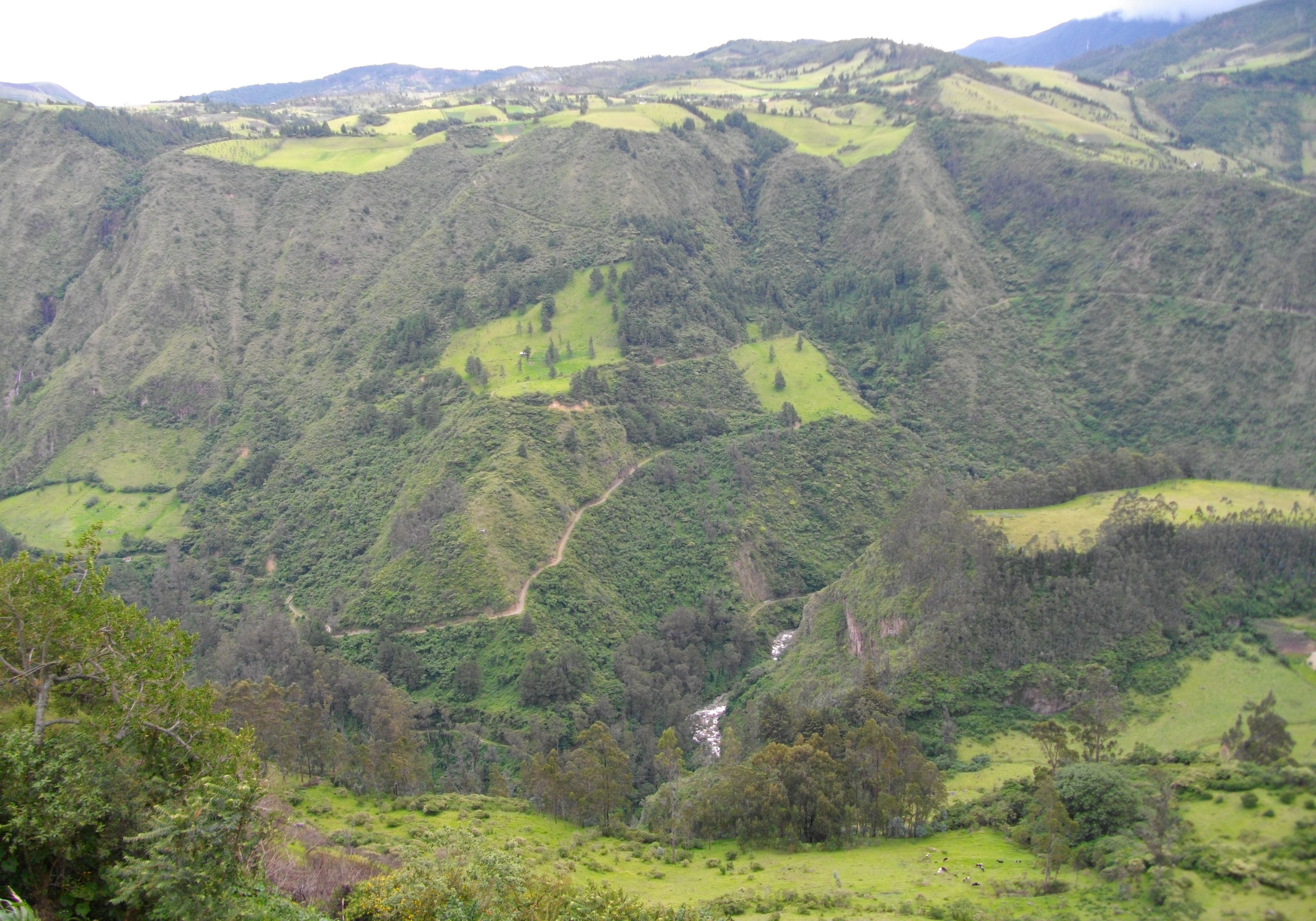 image Parque Nacional Purace