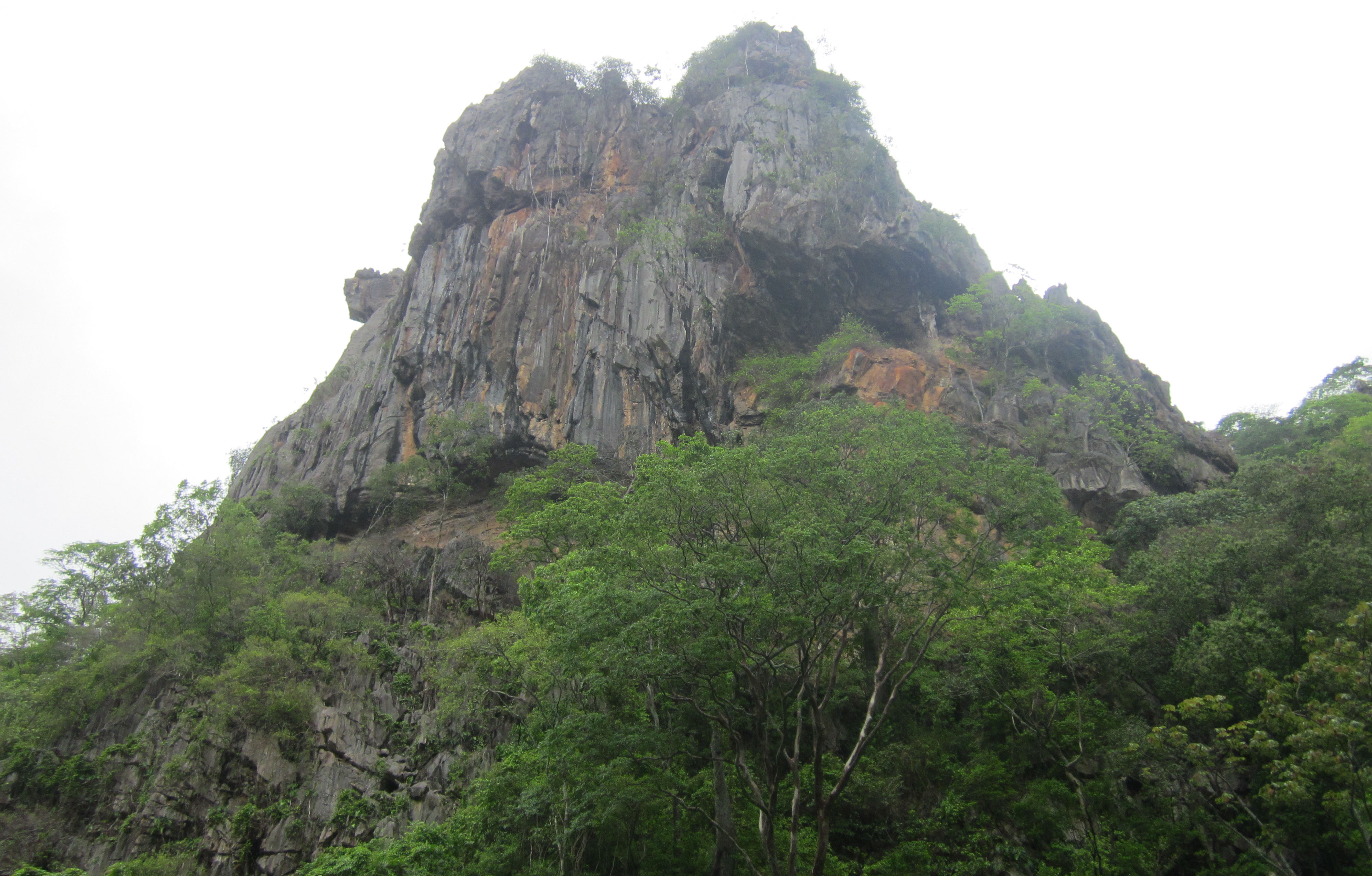 image Piaui