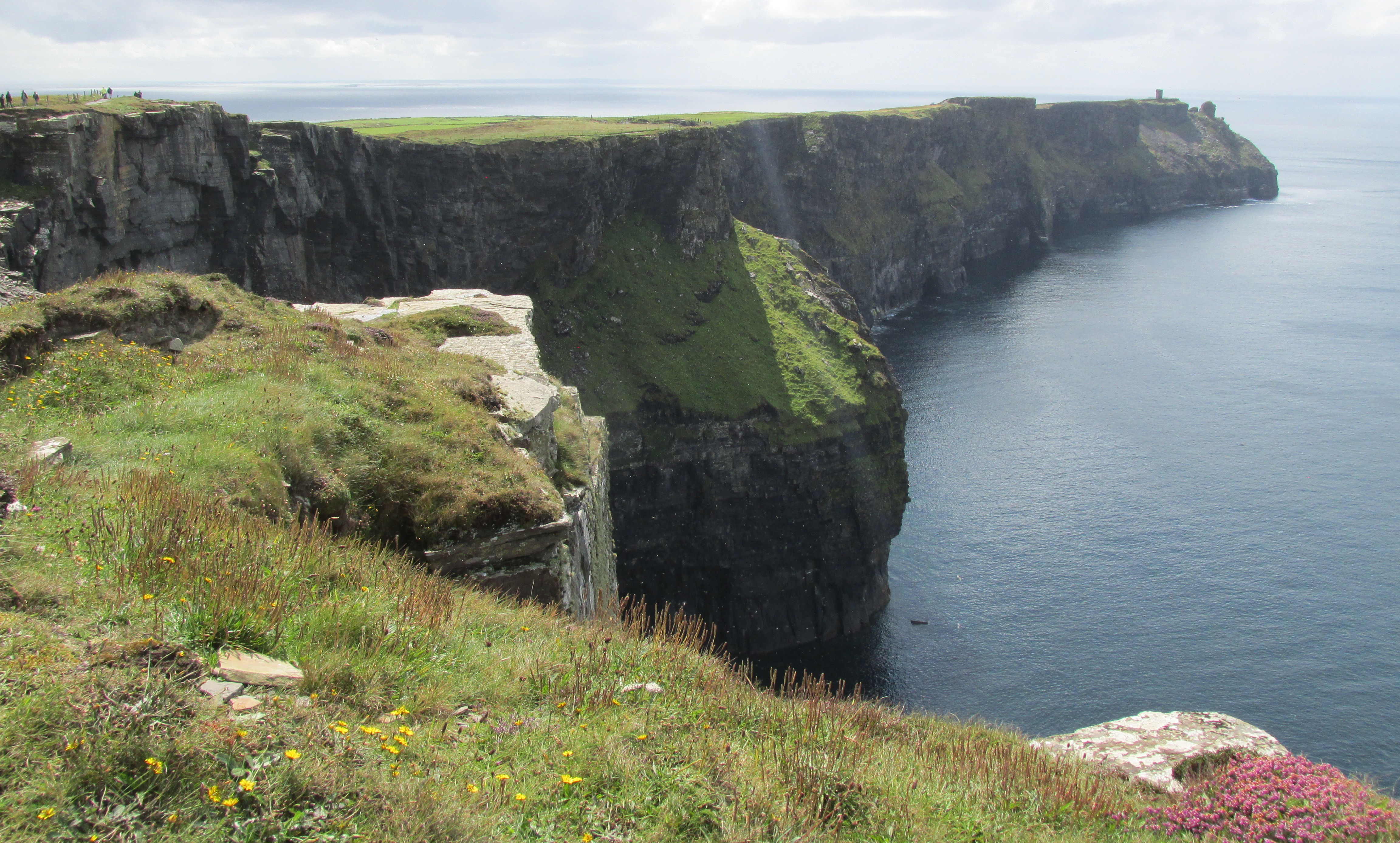 image Clare