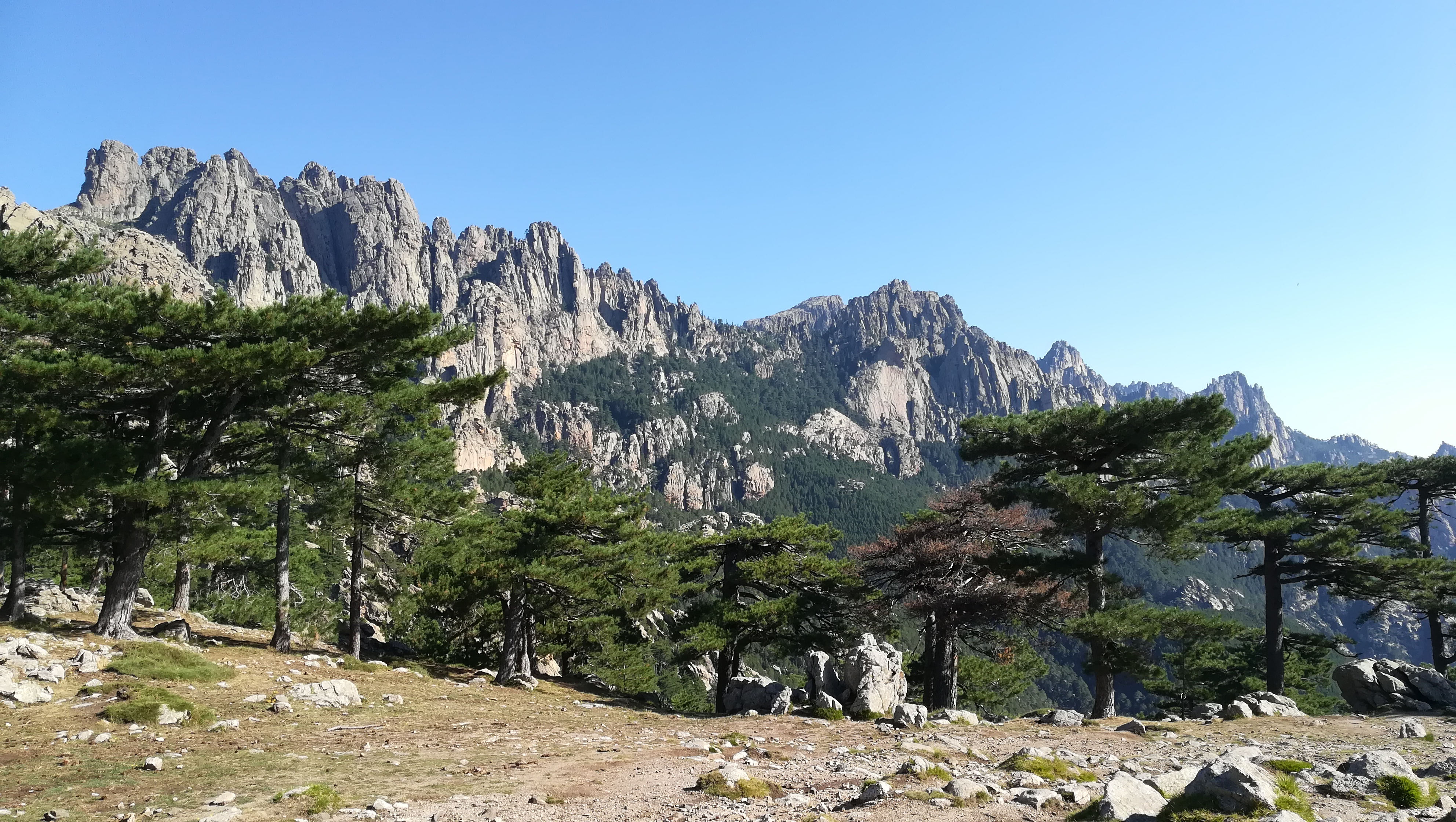 image Corse