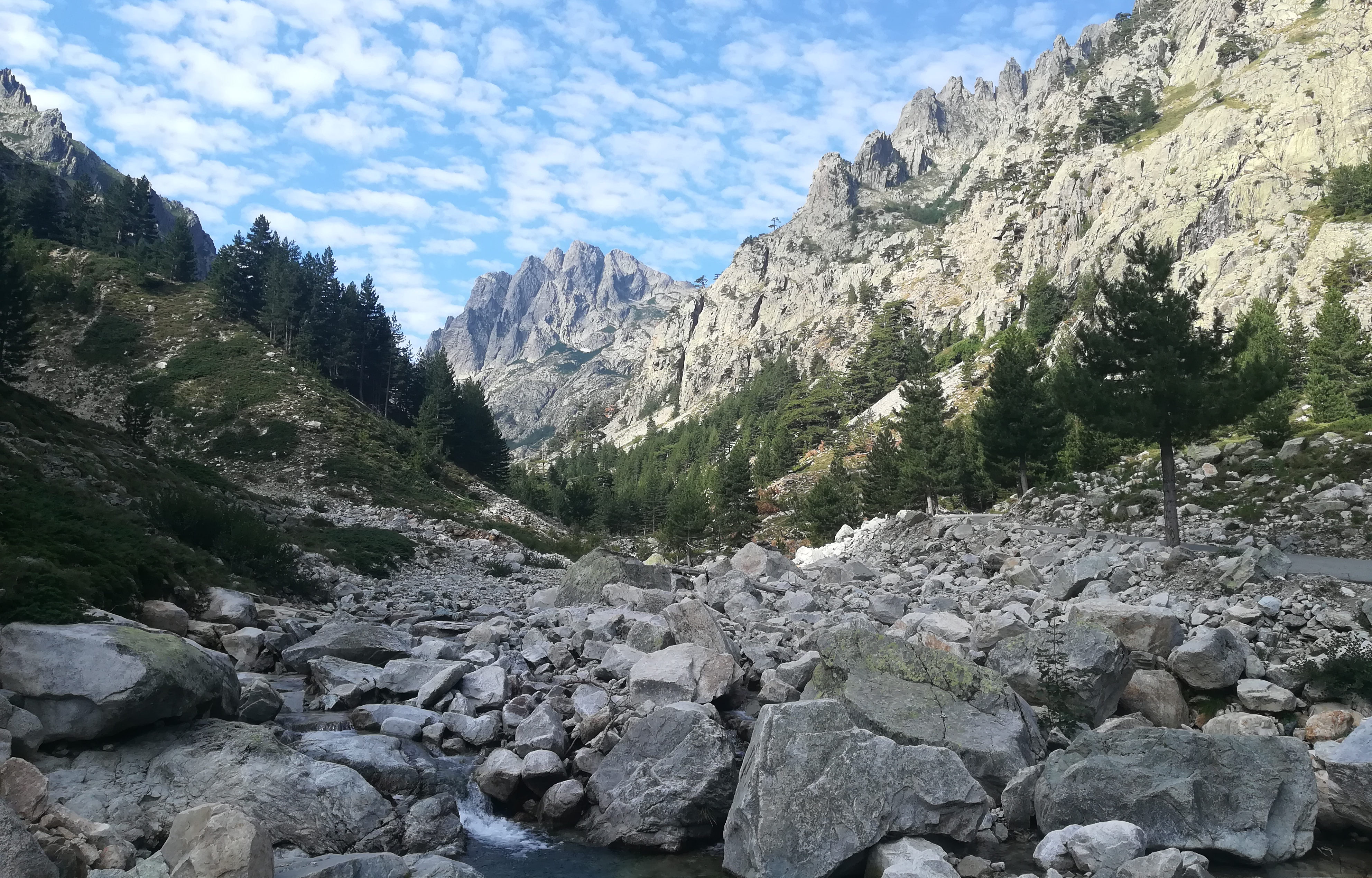 image Corse