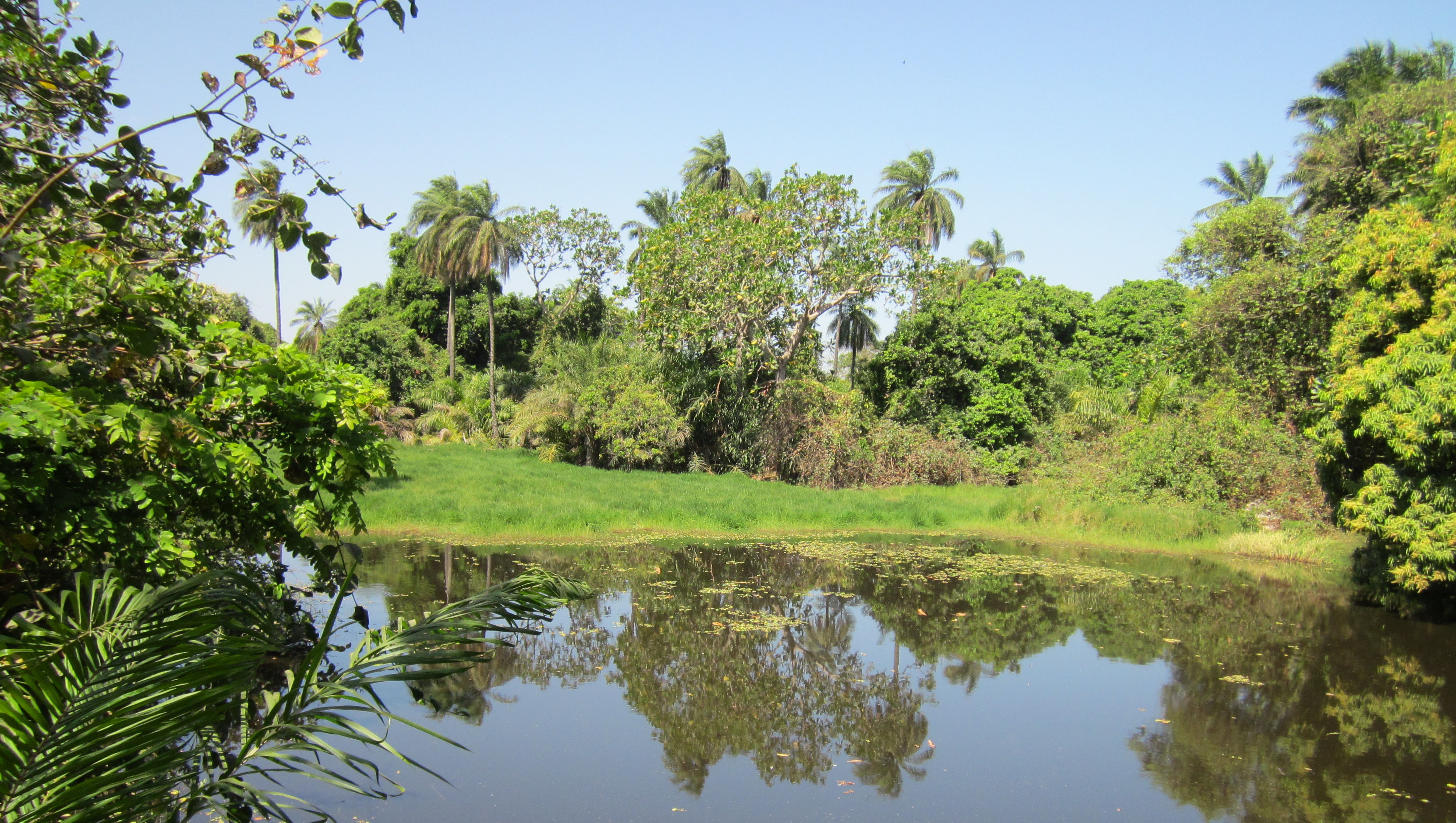 image Abuko Nature Reserve