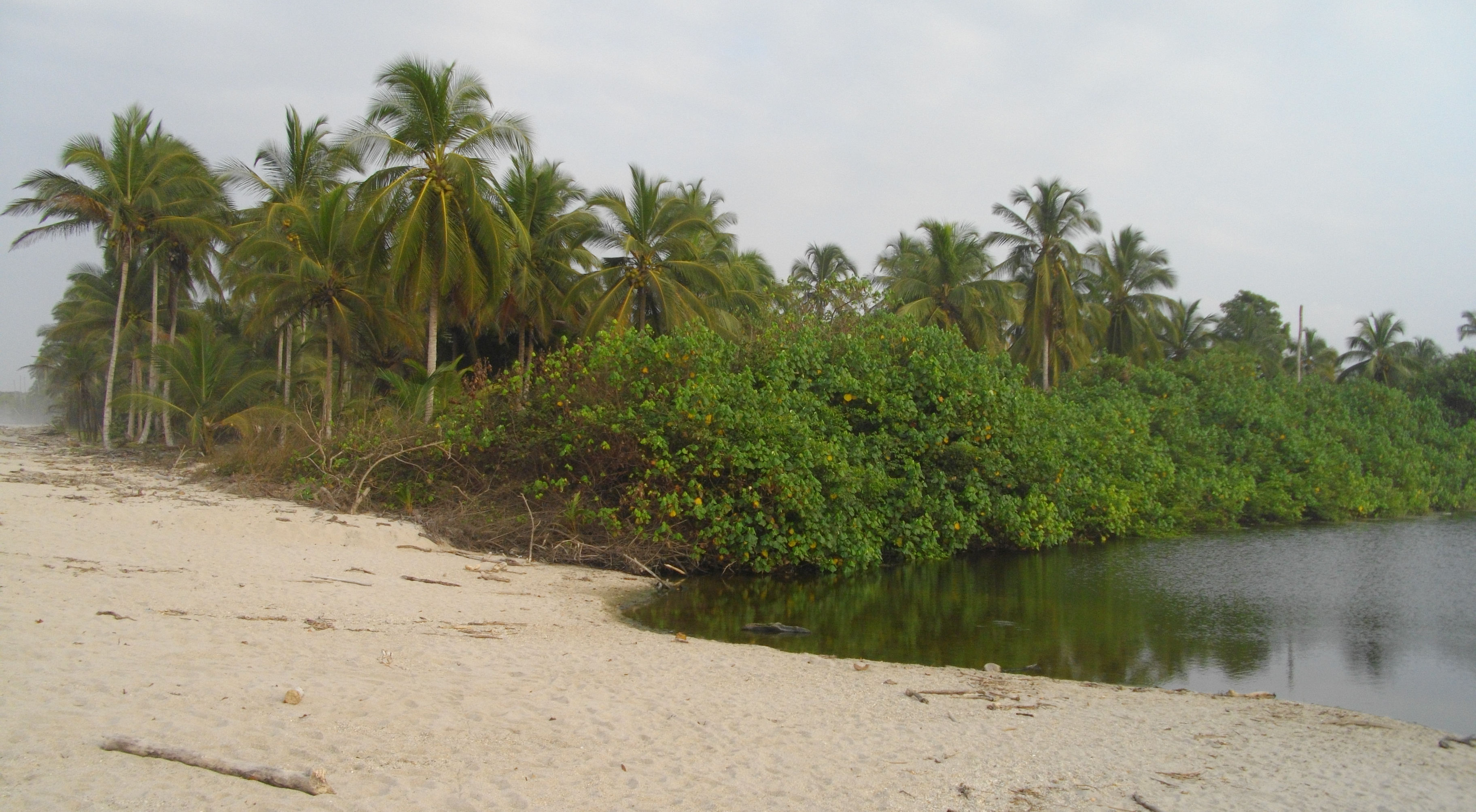 image Guajira