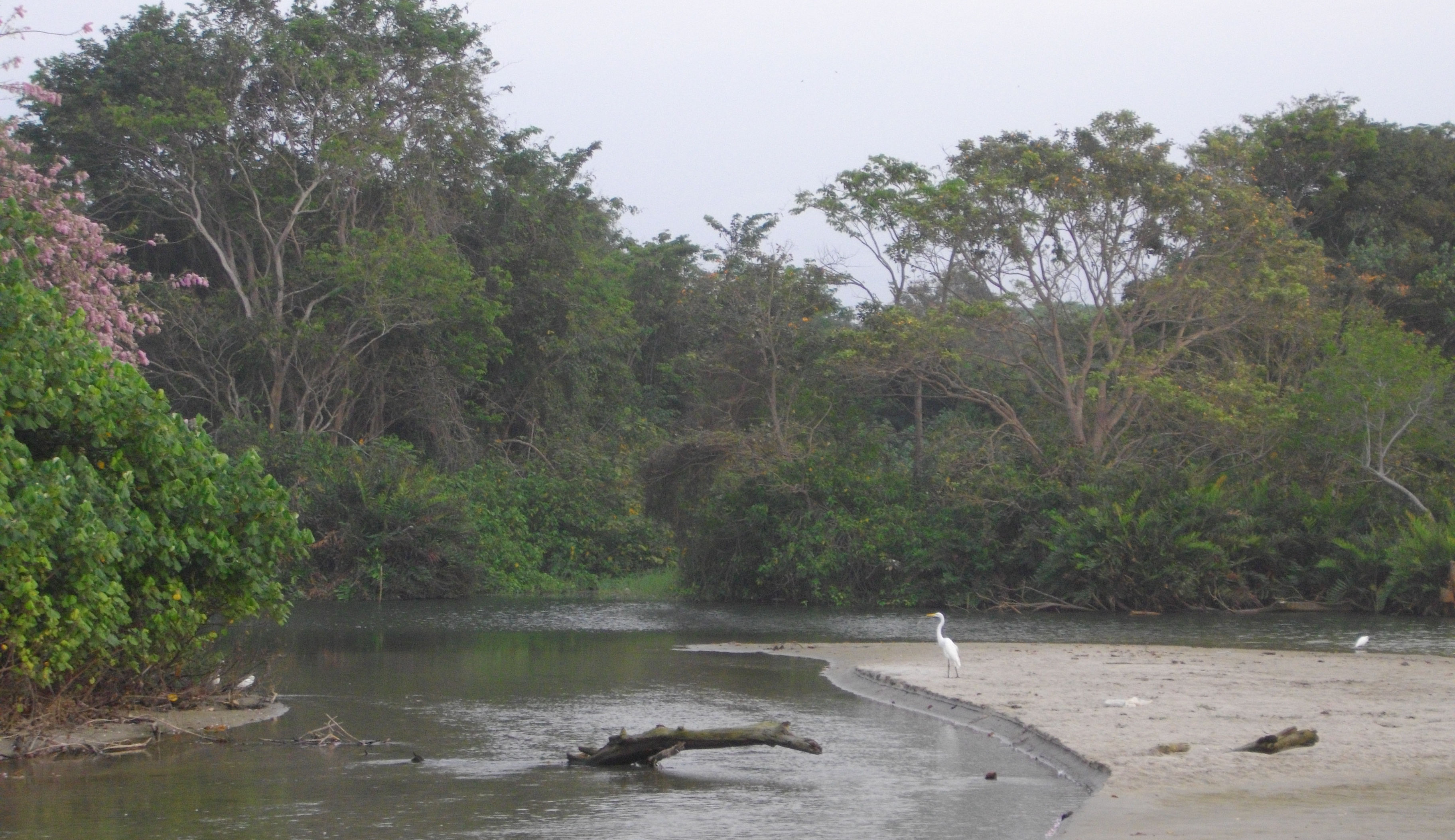 image Guajira