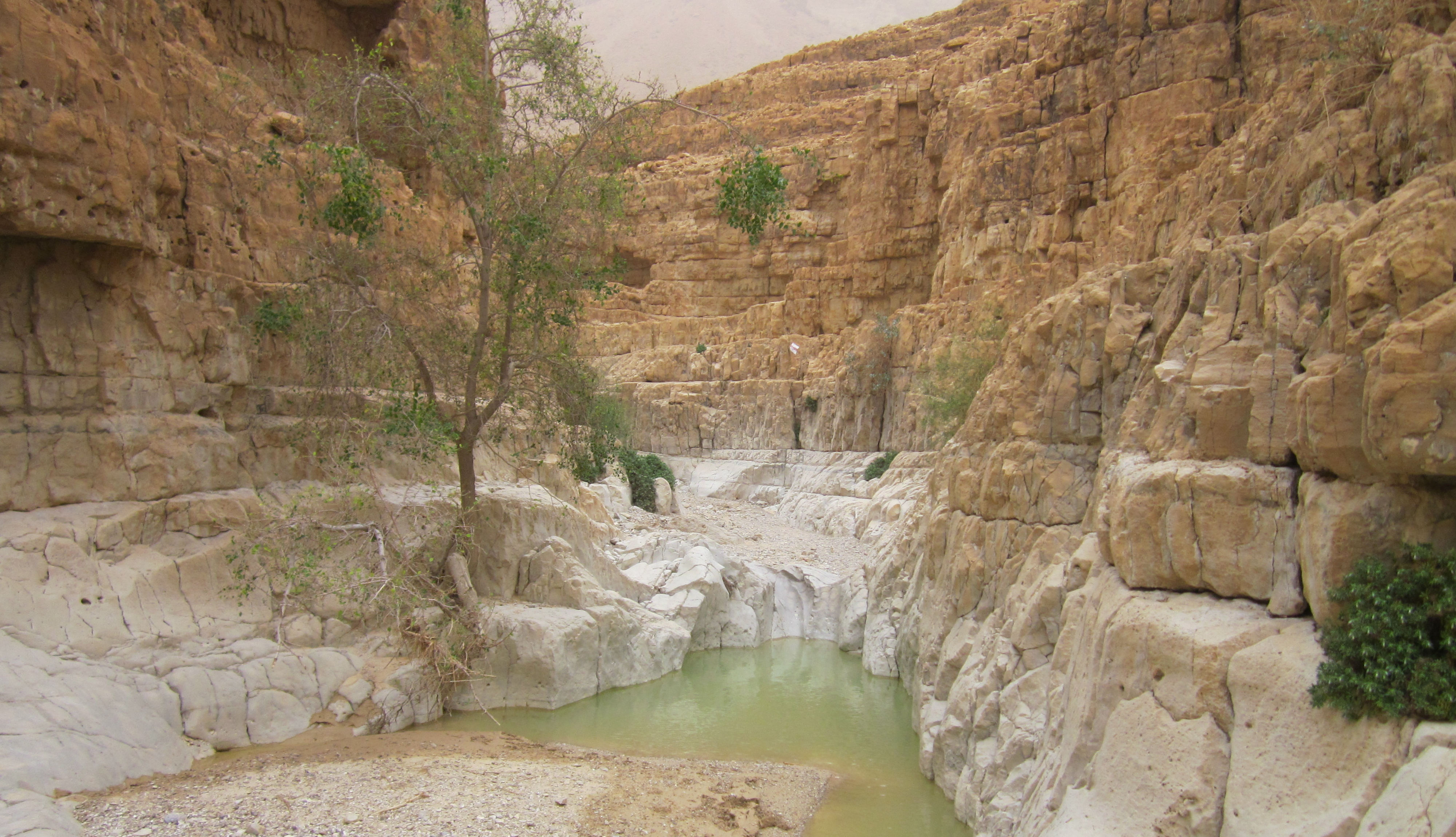 image Hadarom