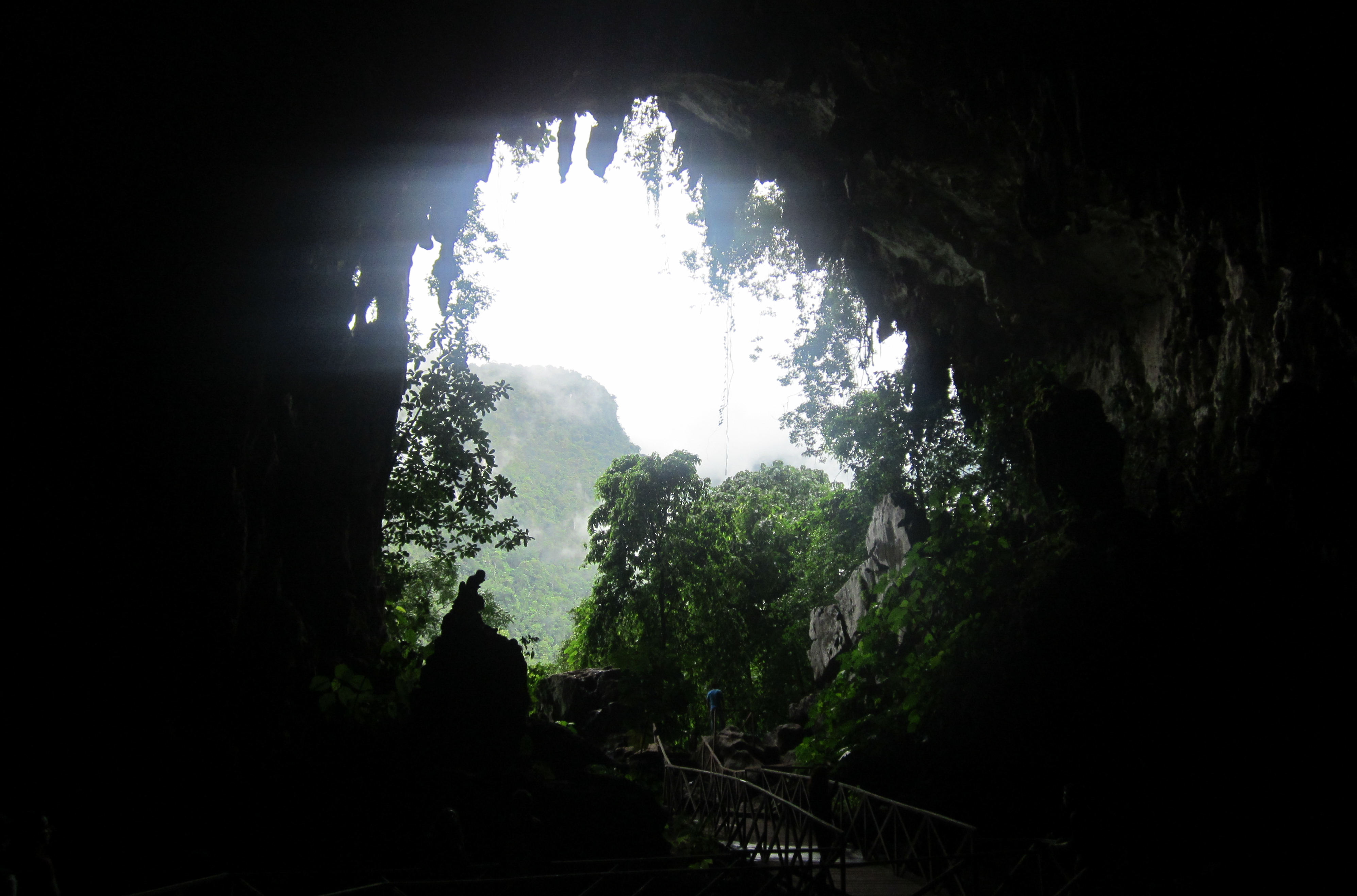 image Tingo Maria