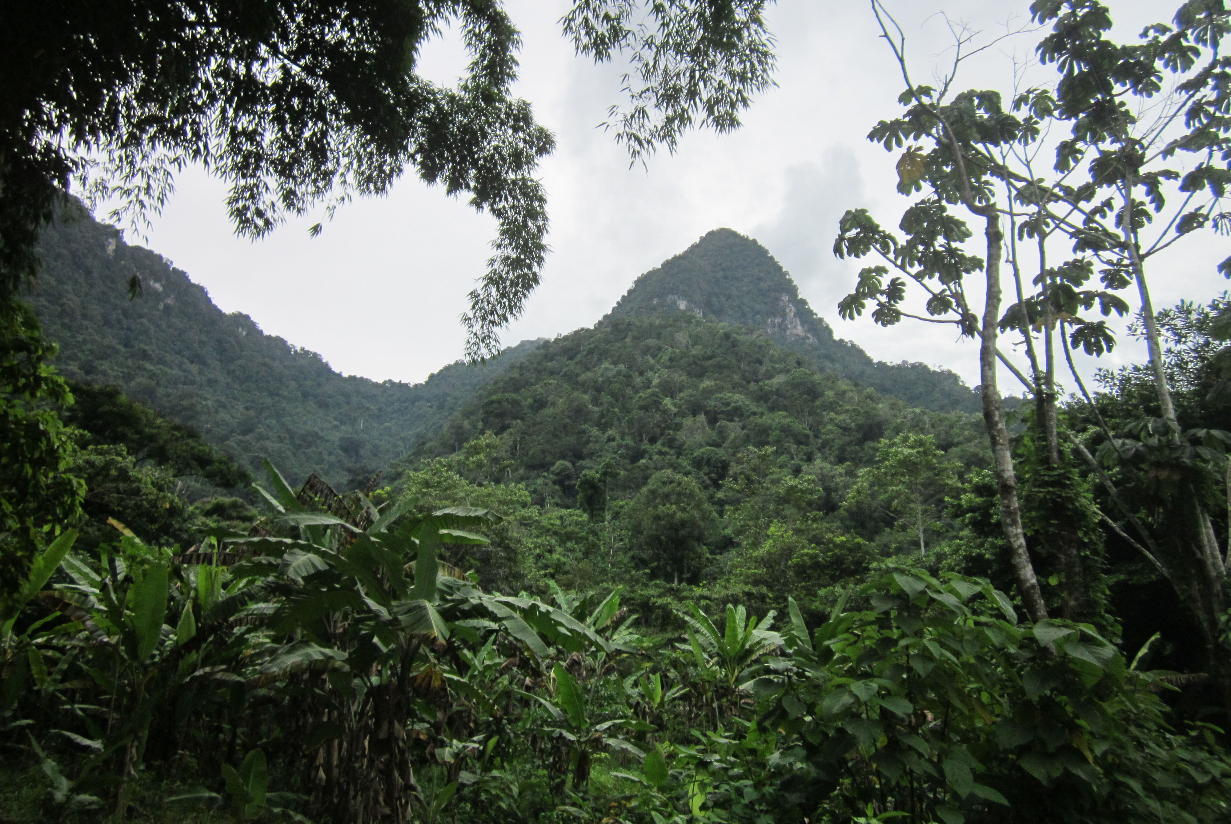 image Tingo Maria