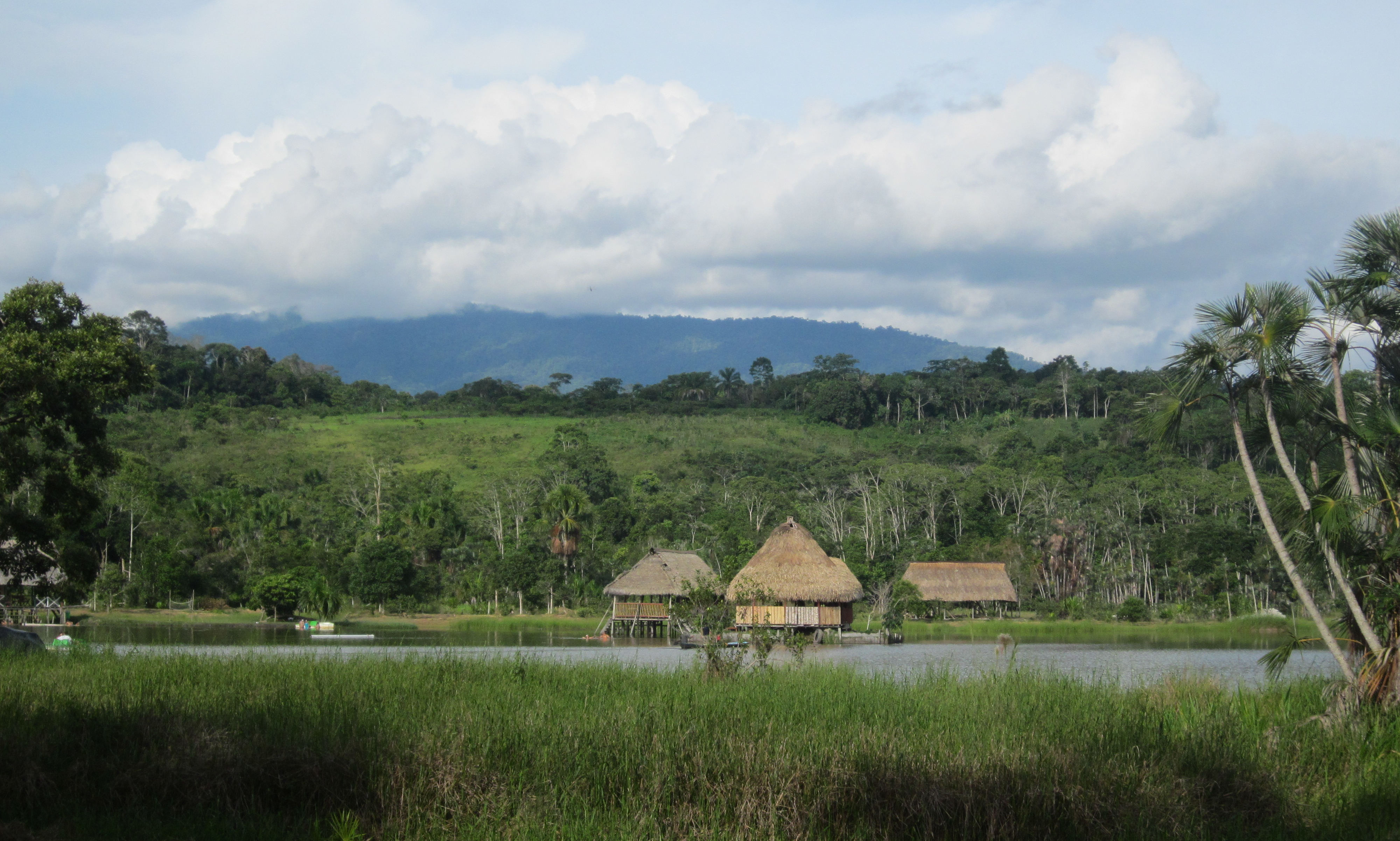 image Tingo Maria