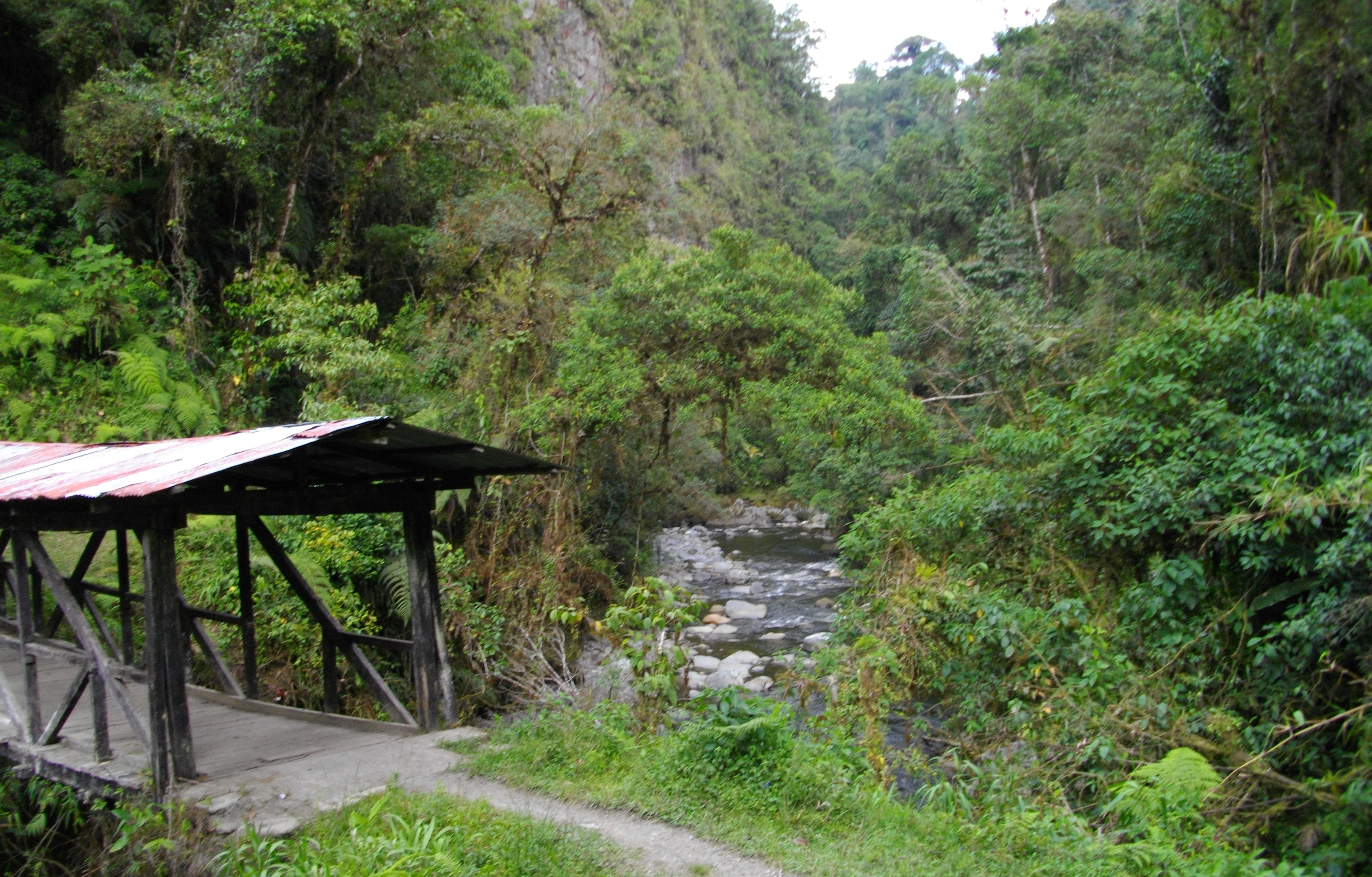 image Neiva