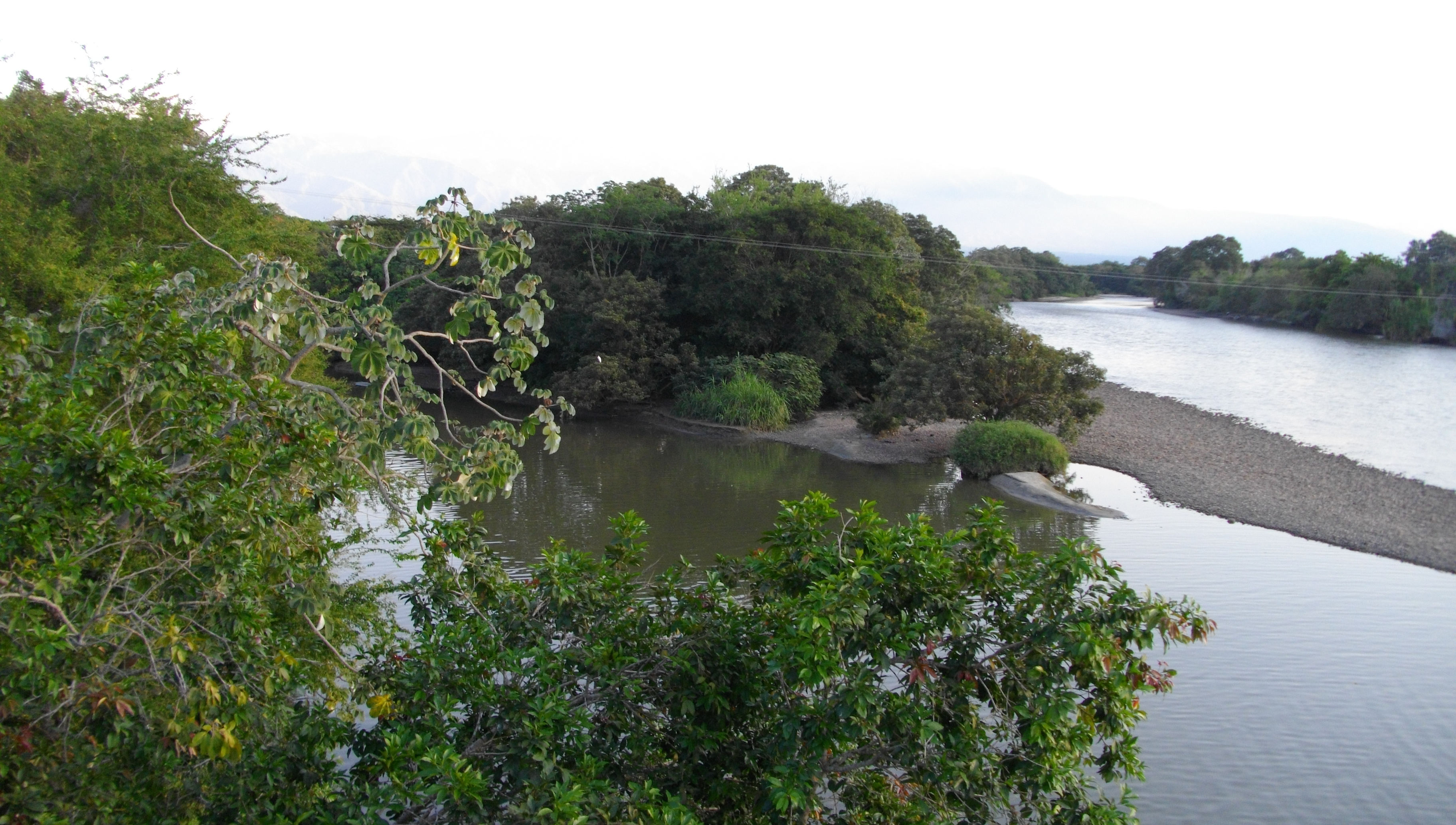 image Neiva