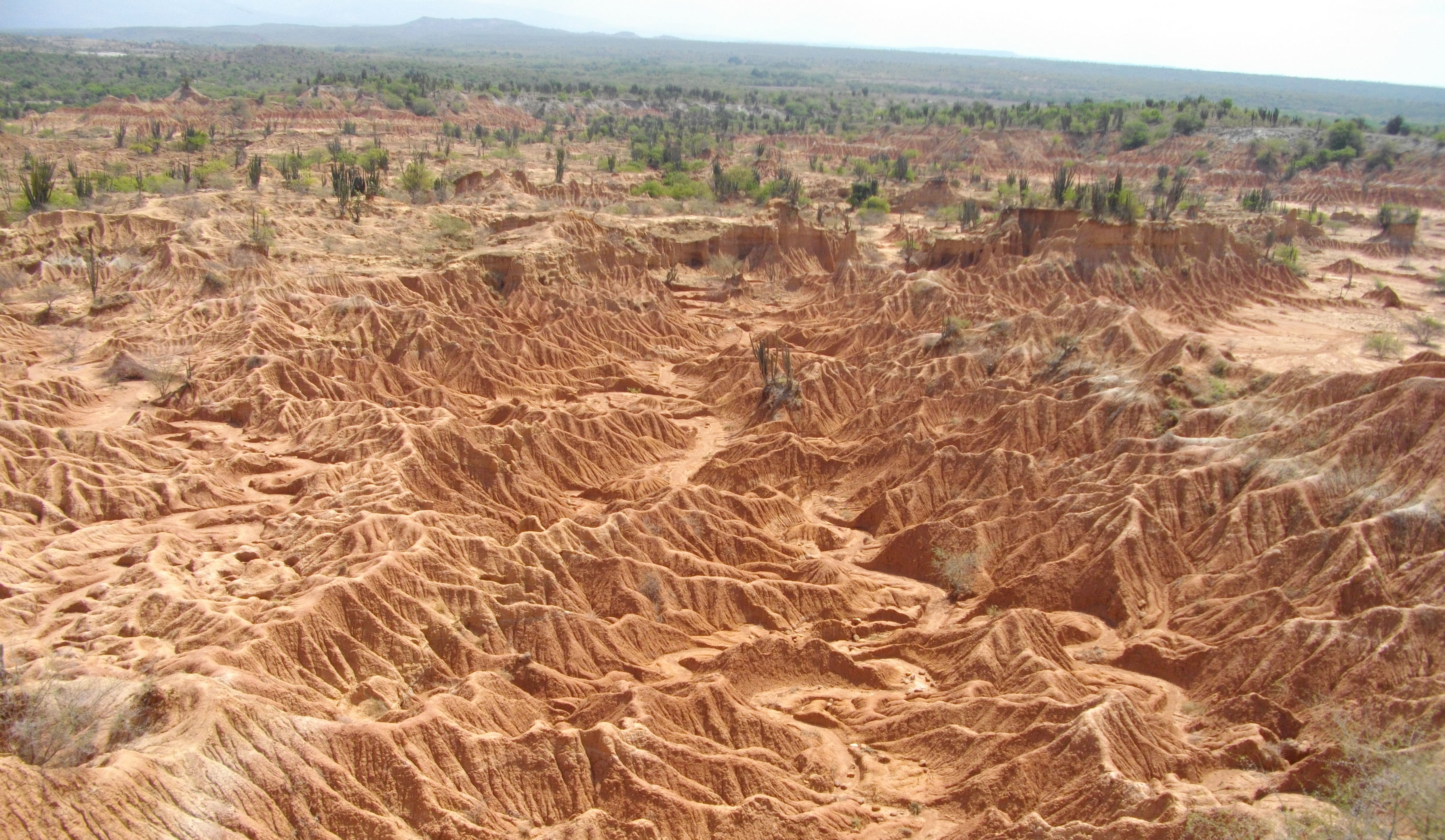 image Desierto de Tatacoa