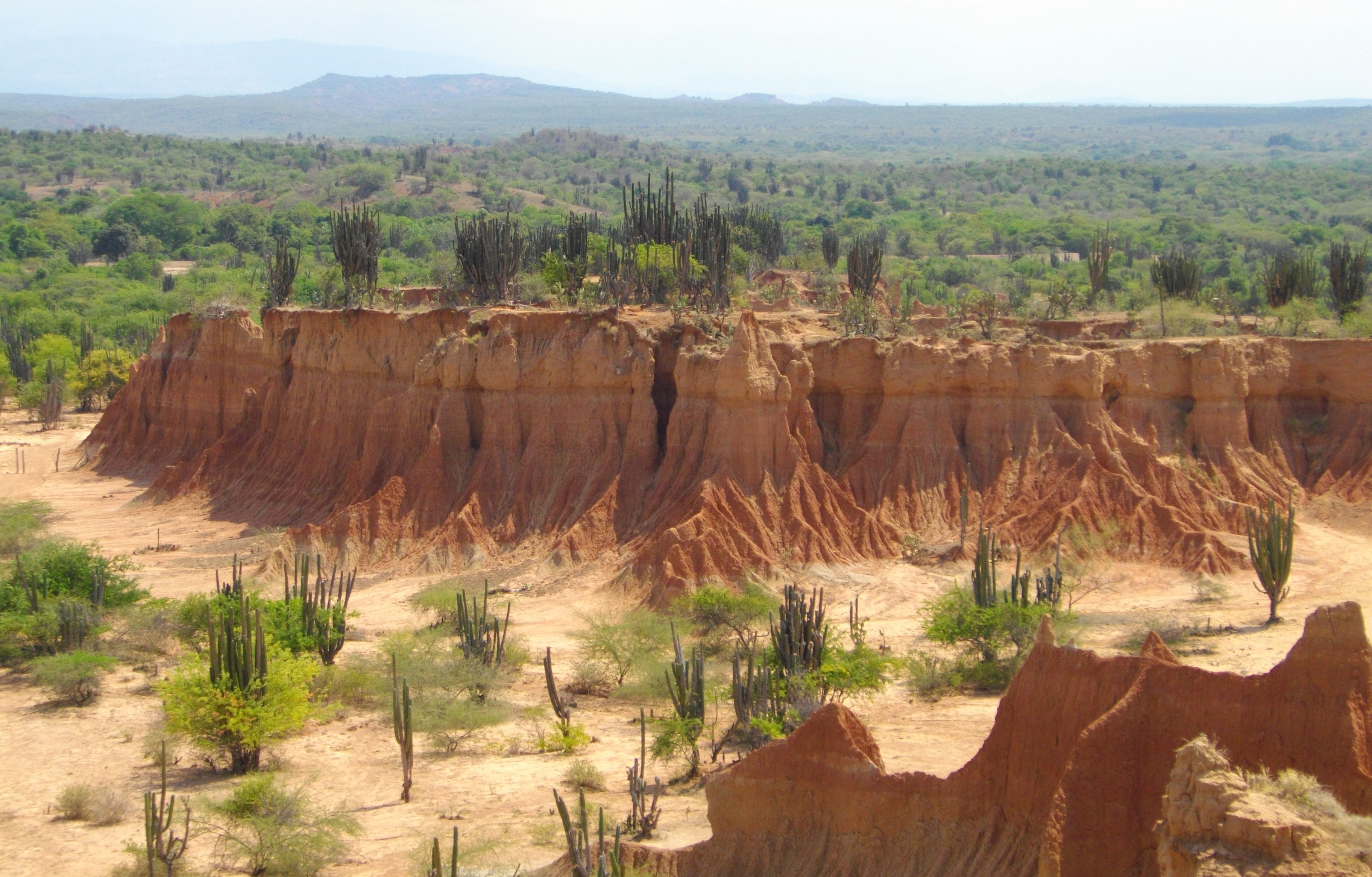 image Desierto de Tatacoa