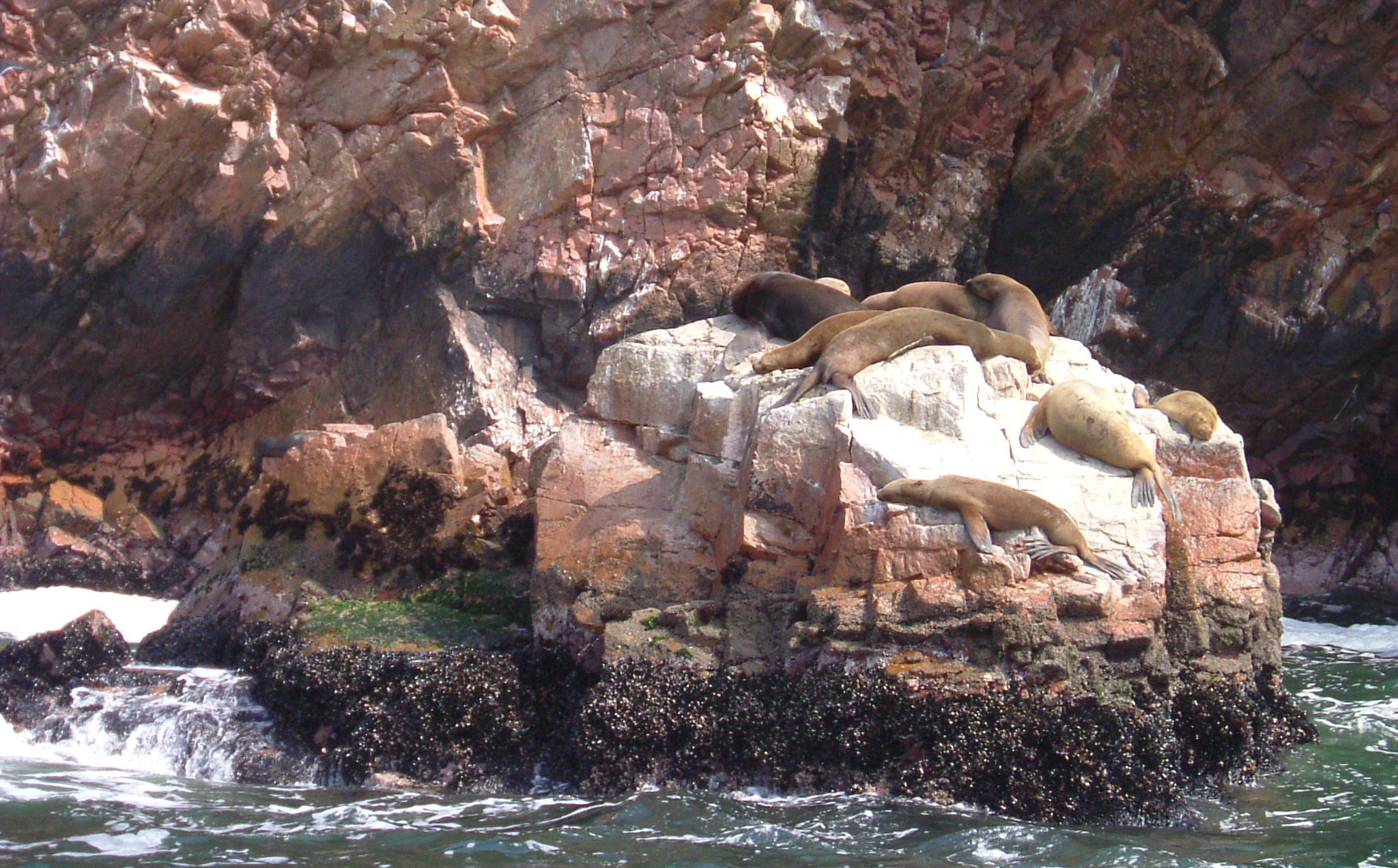 image Paracas