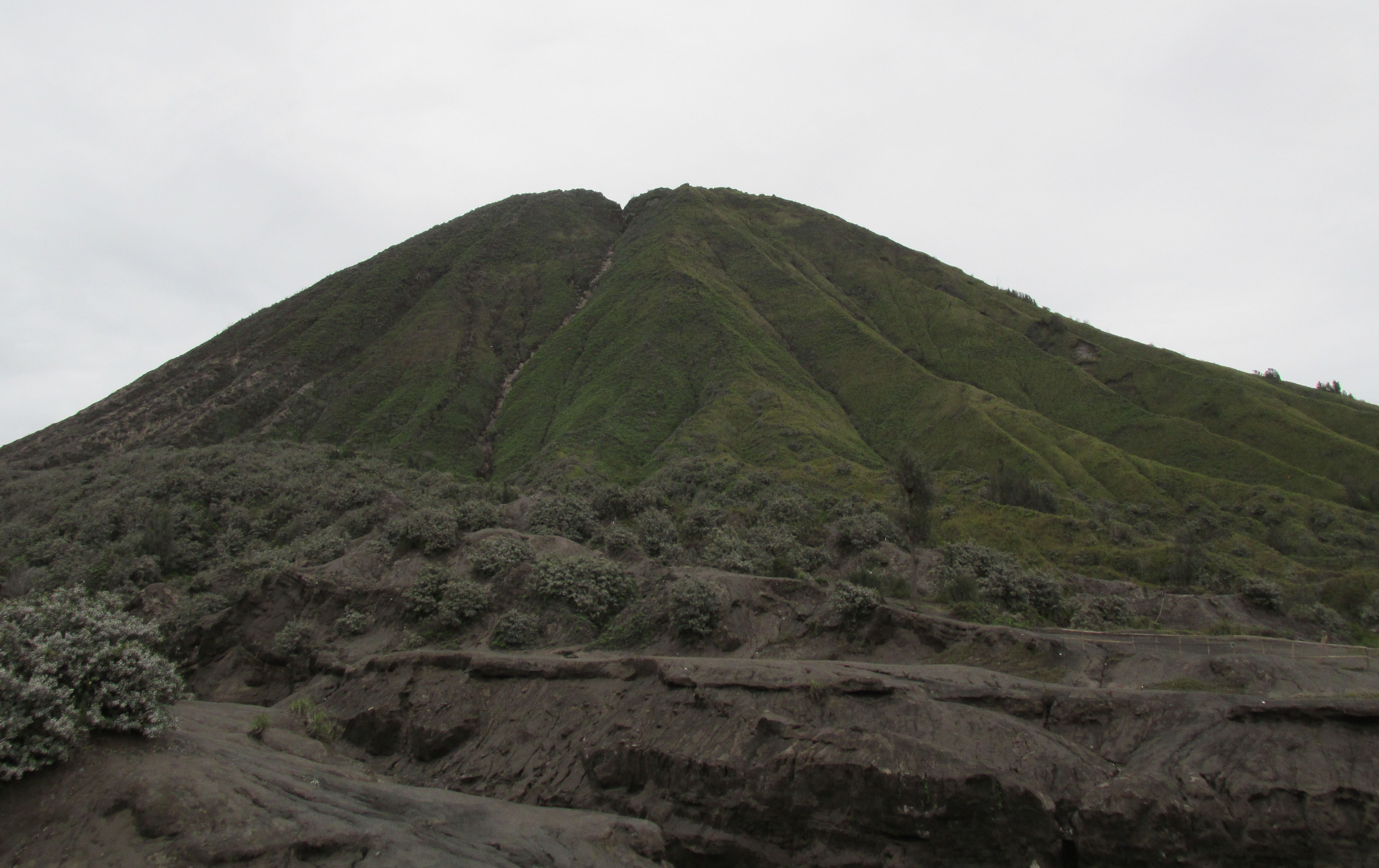 image Jawa Timur
