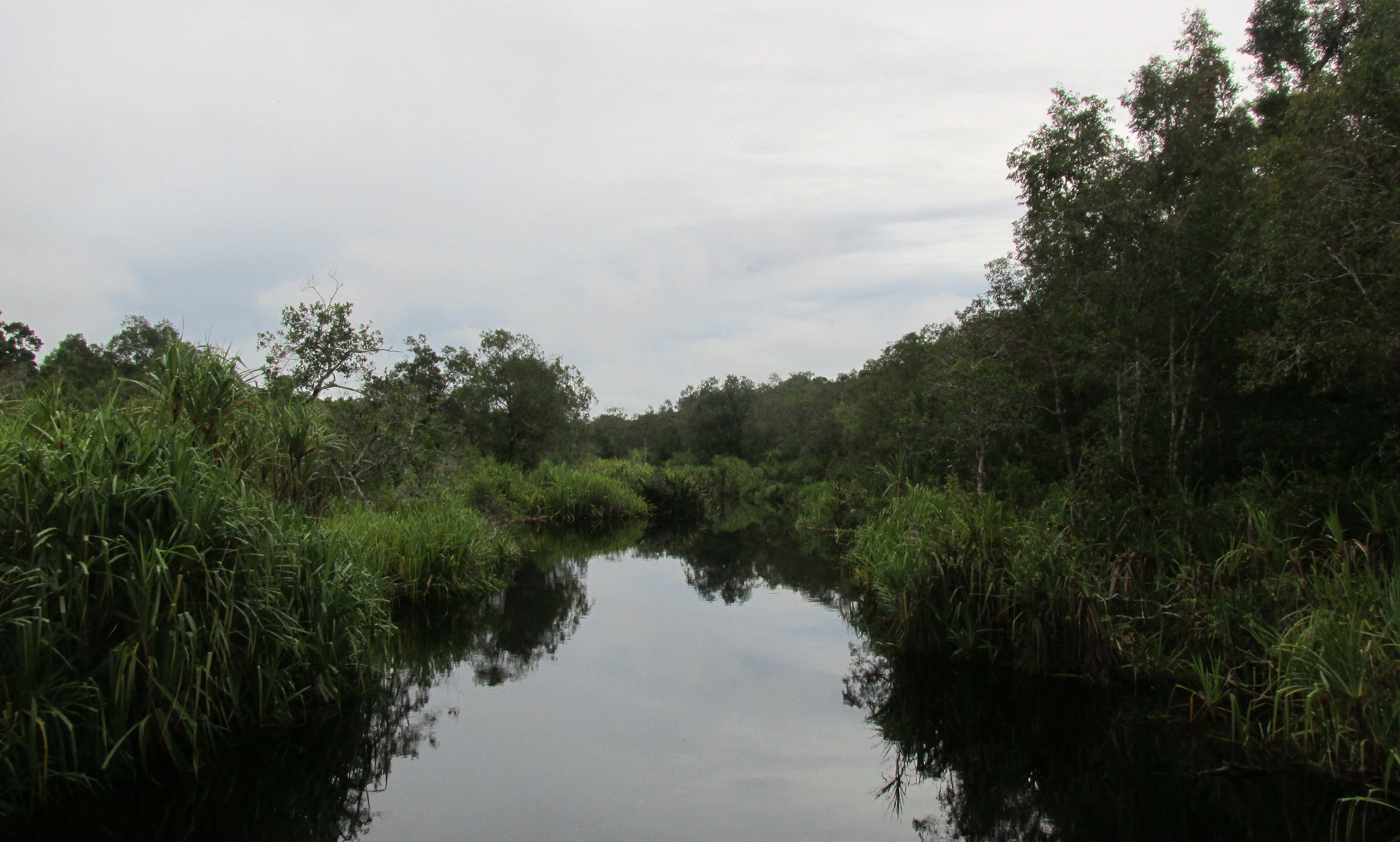 image Kalimantan Central