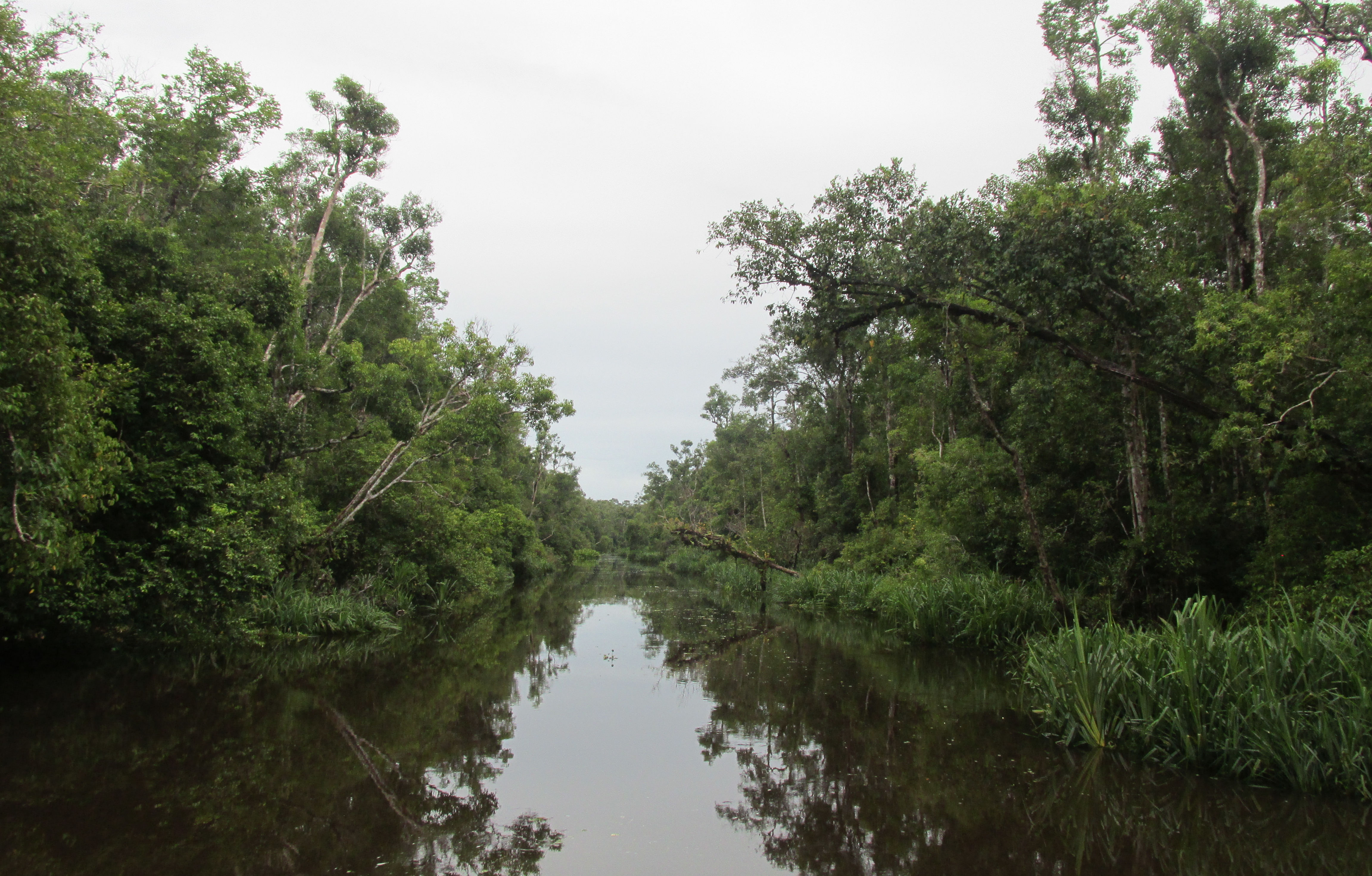 image Kalimantan Central
