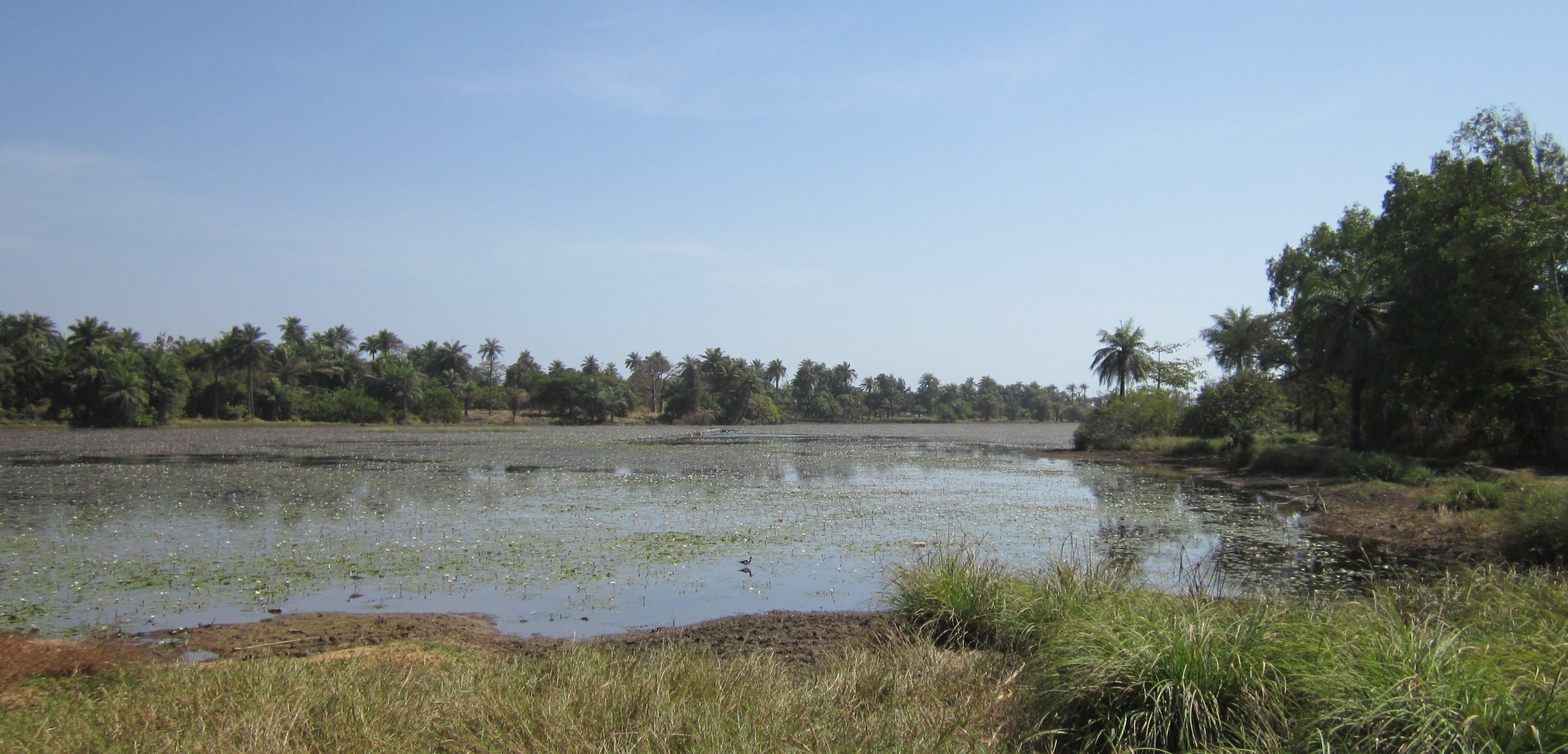 image Kedougou