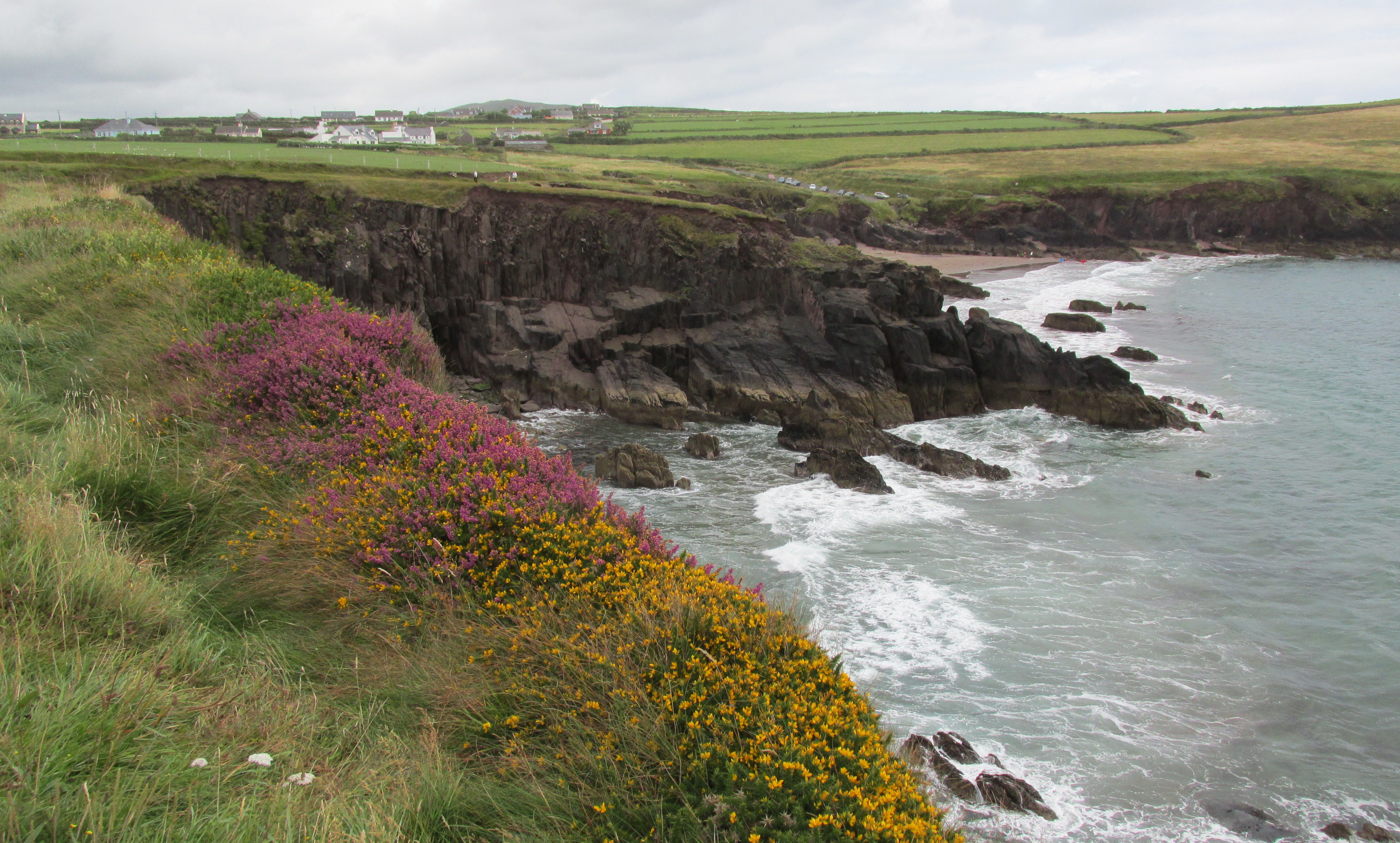 image Kerry
