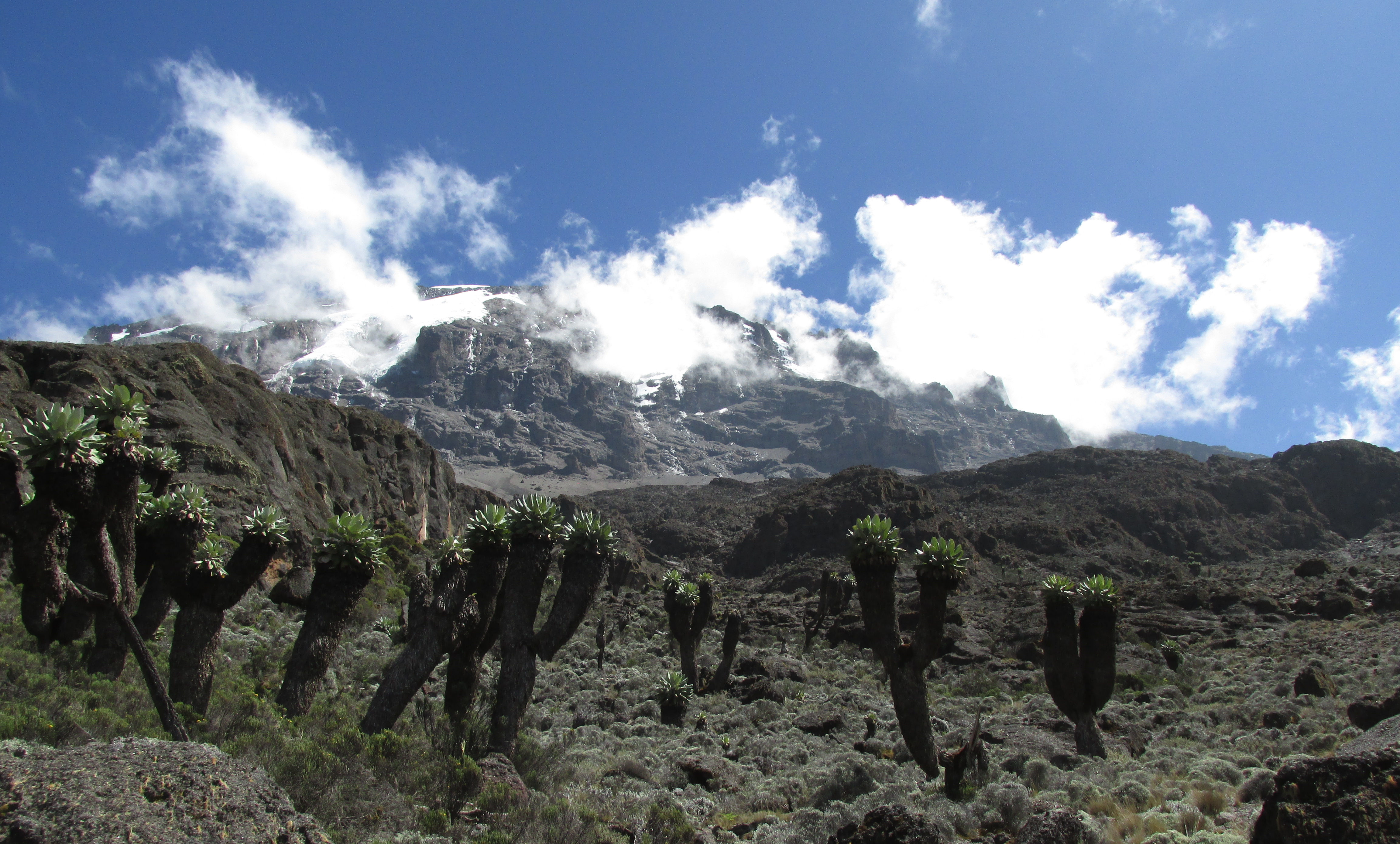 image Kilimandjaro