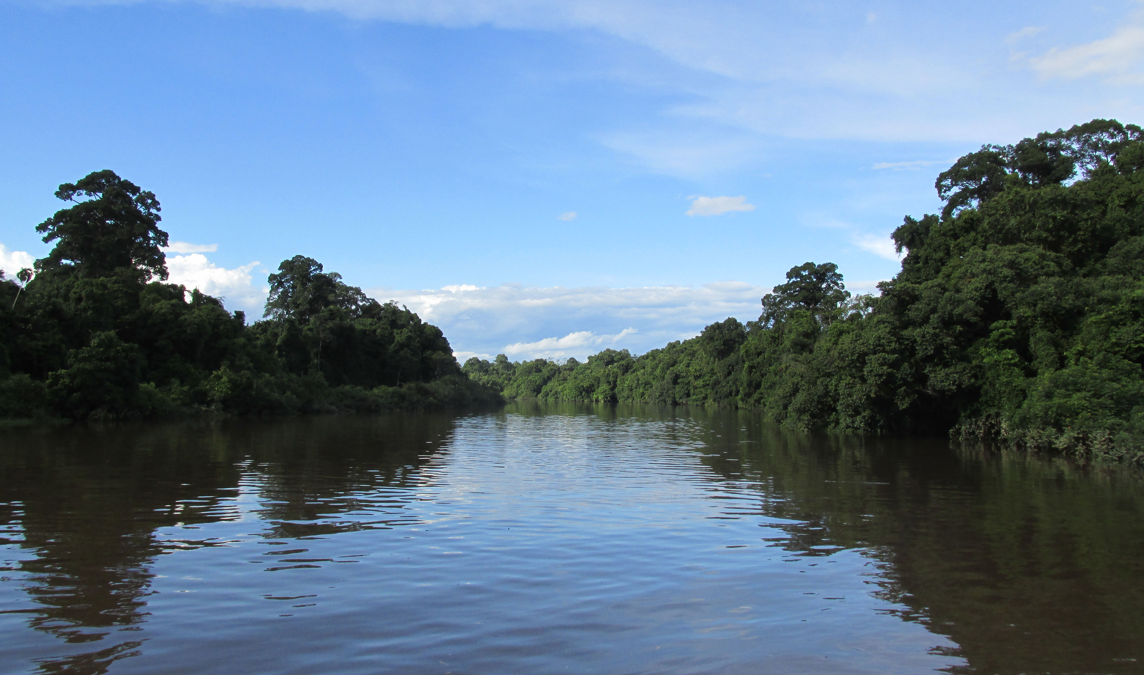 image Kalimantan Timur