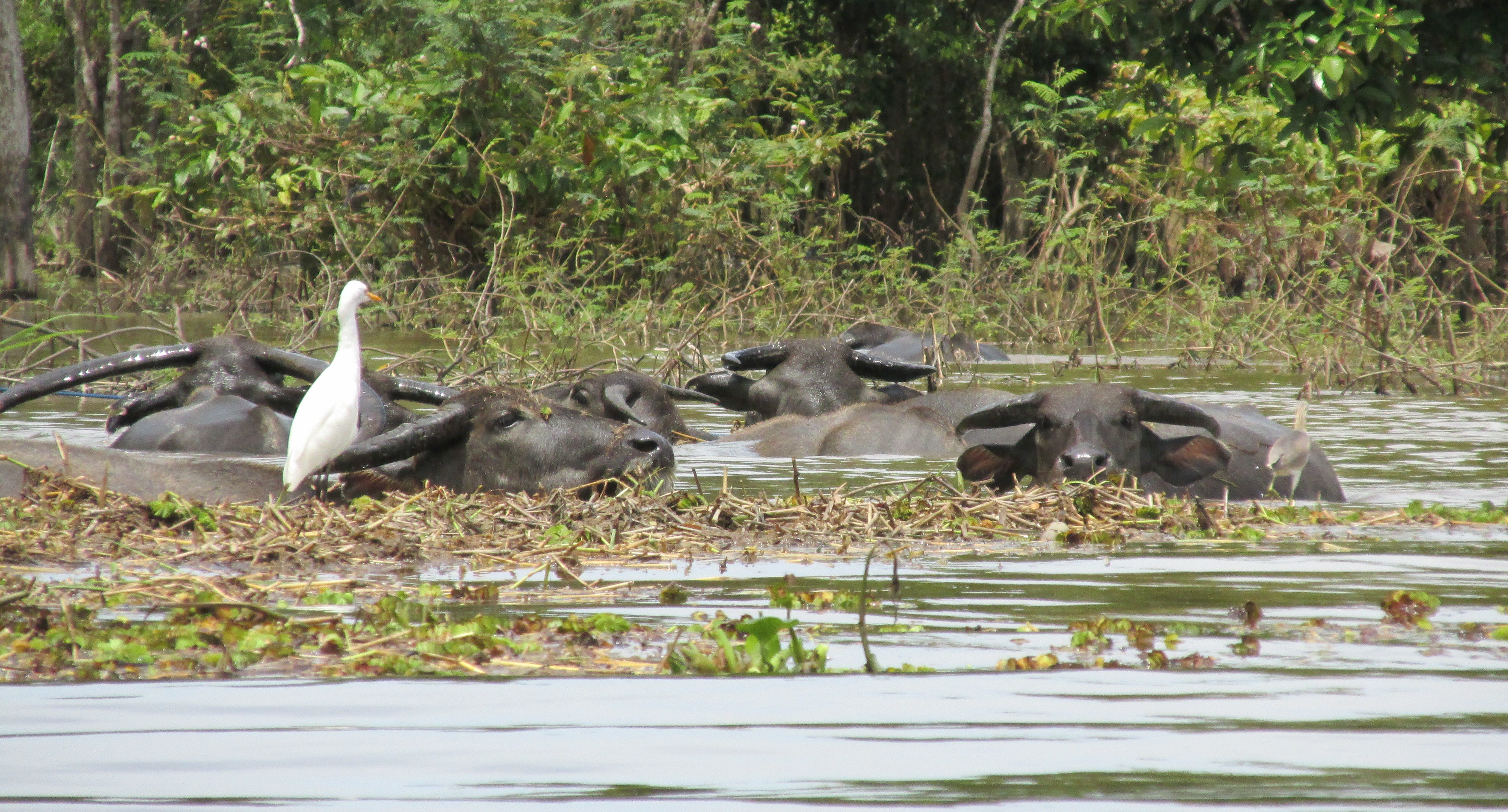 image Kalimantan Timur
