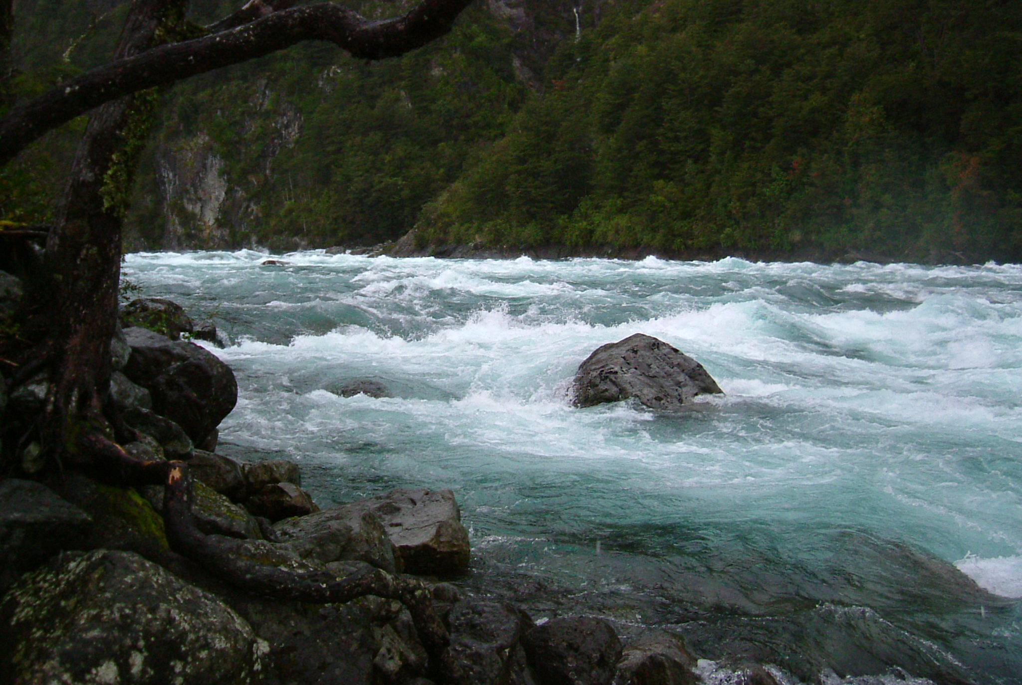 image Los Lagos