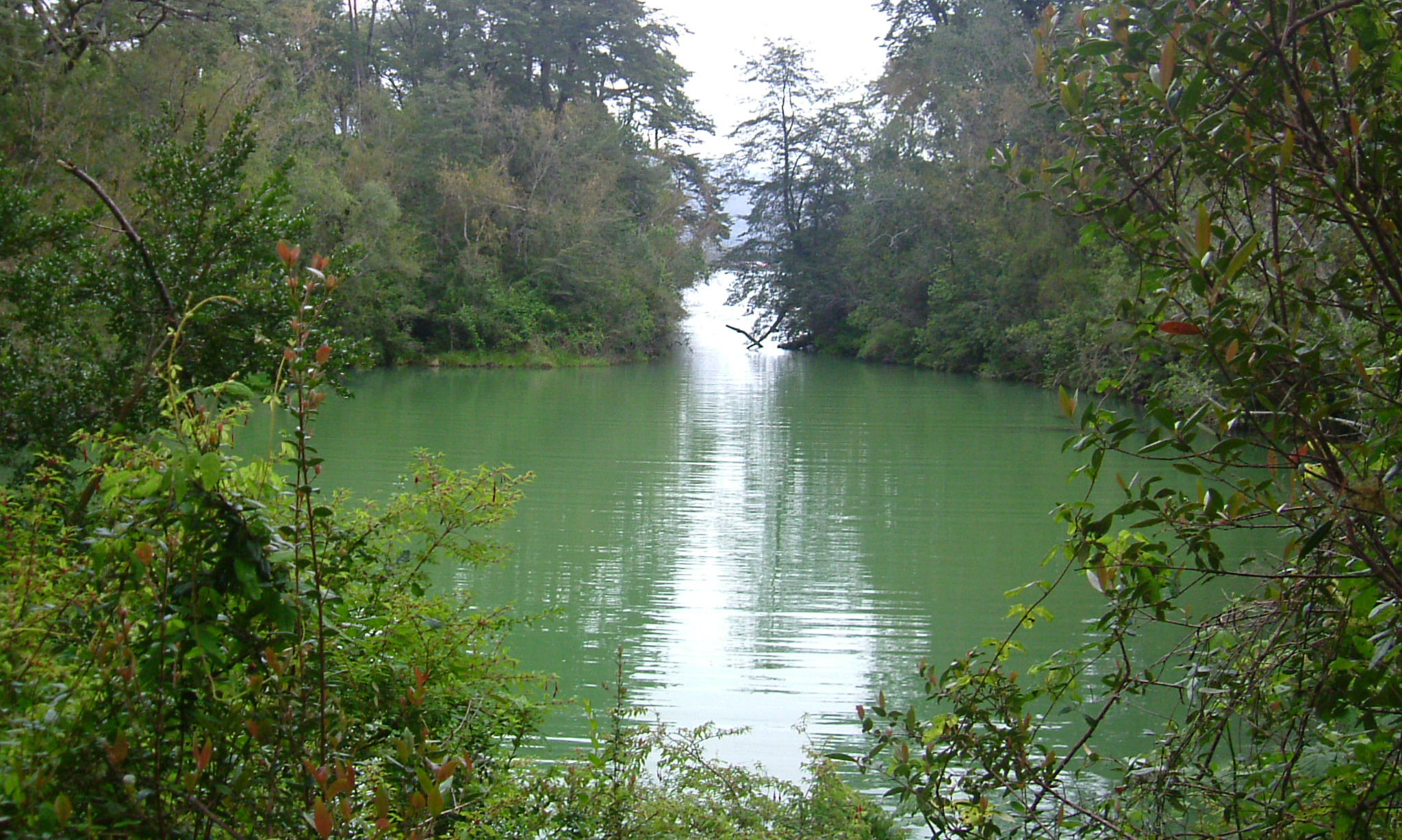 image Los Lagos