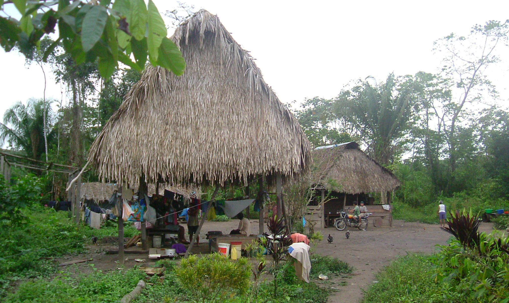 image Madre de Dios