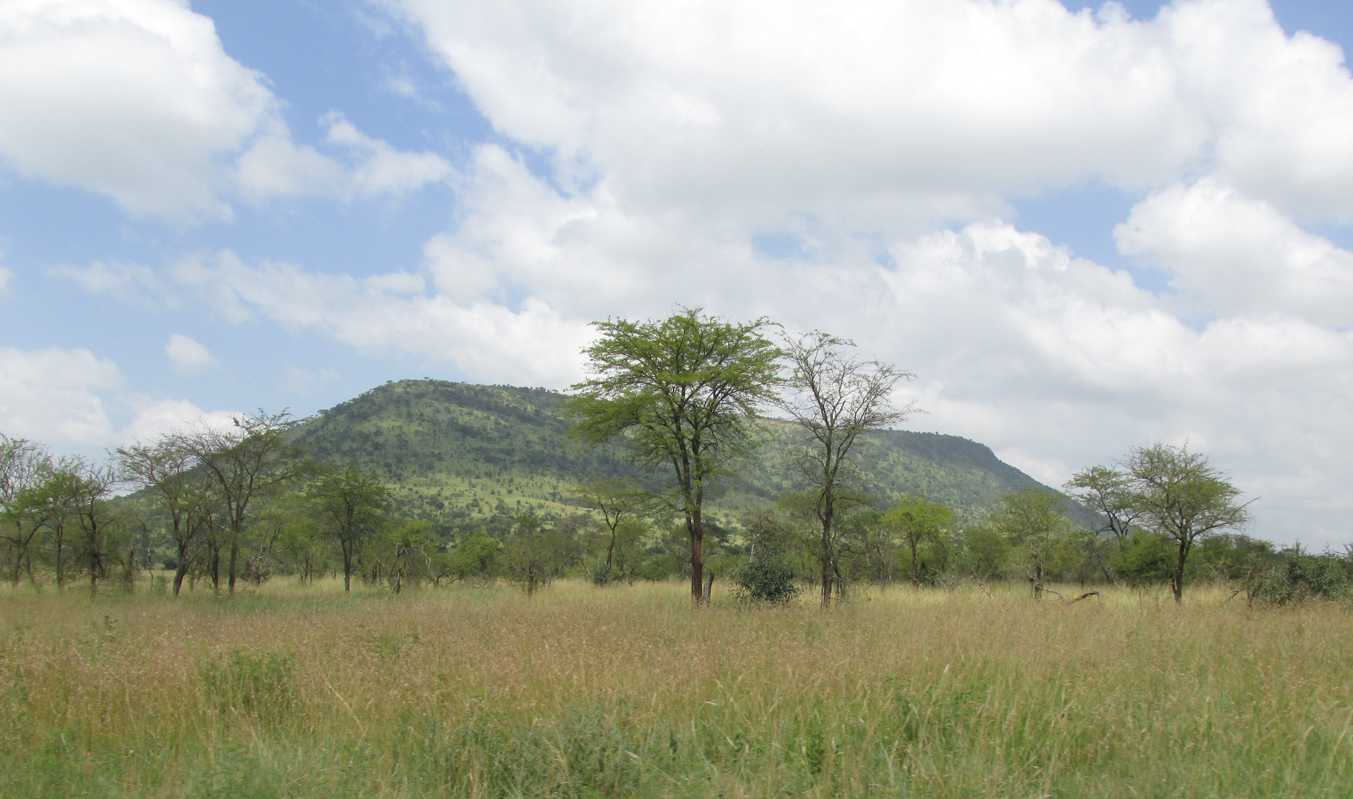 image Mara