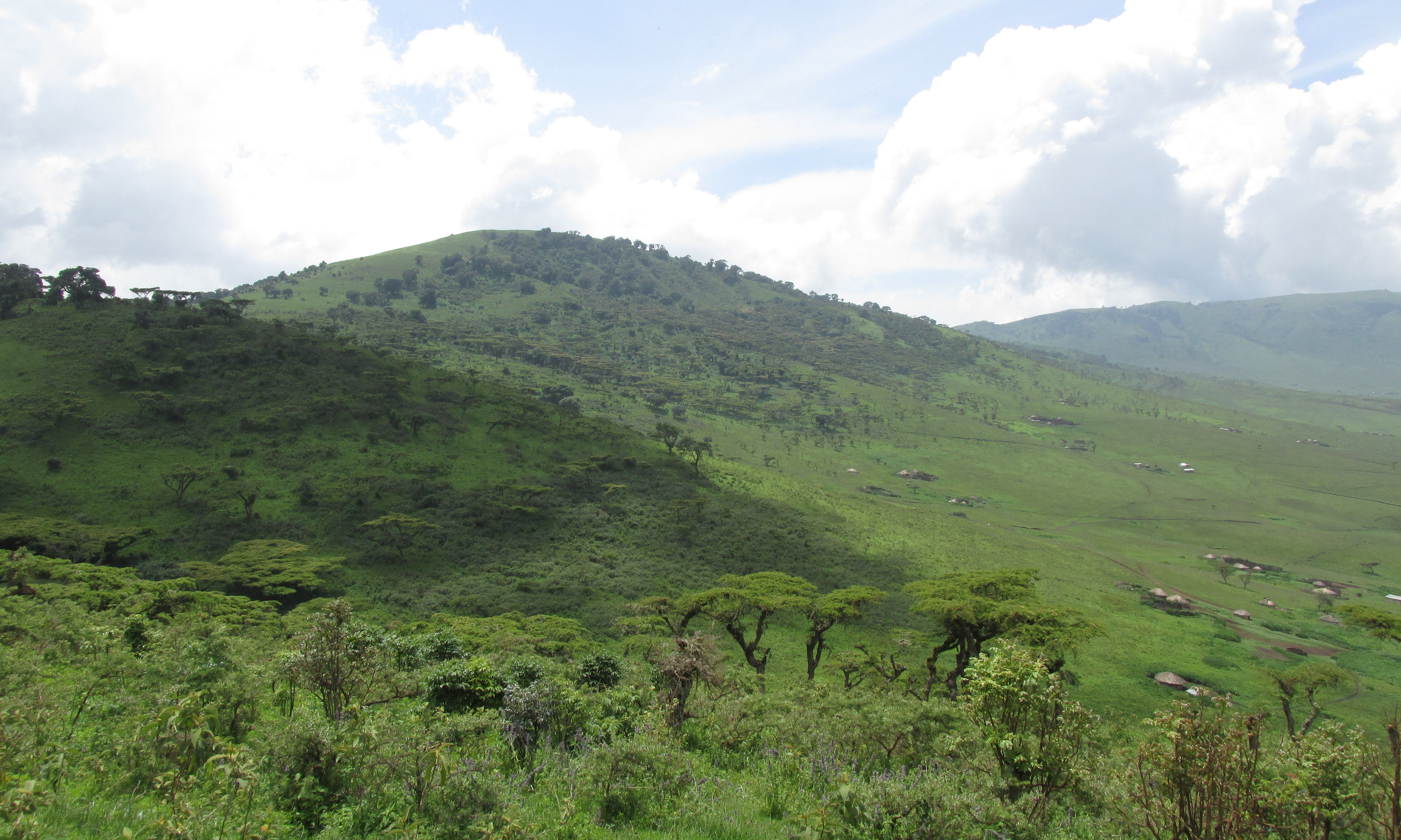image Mara