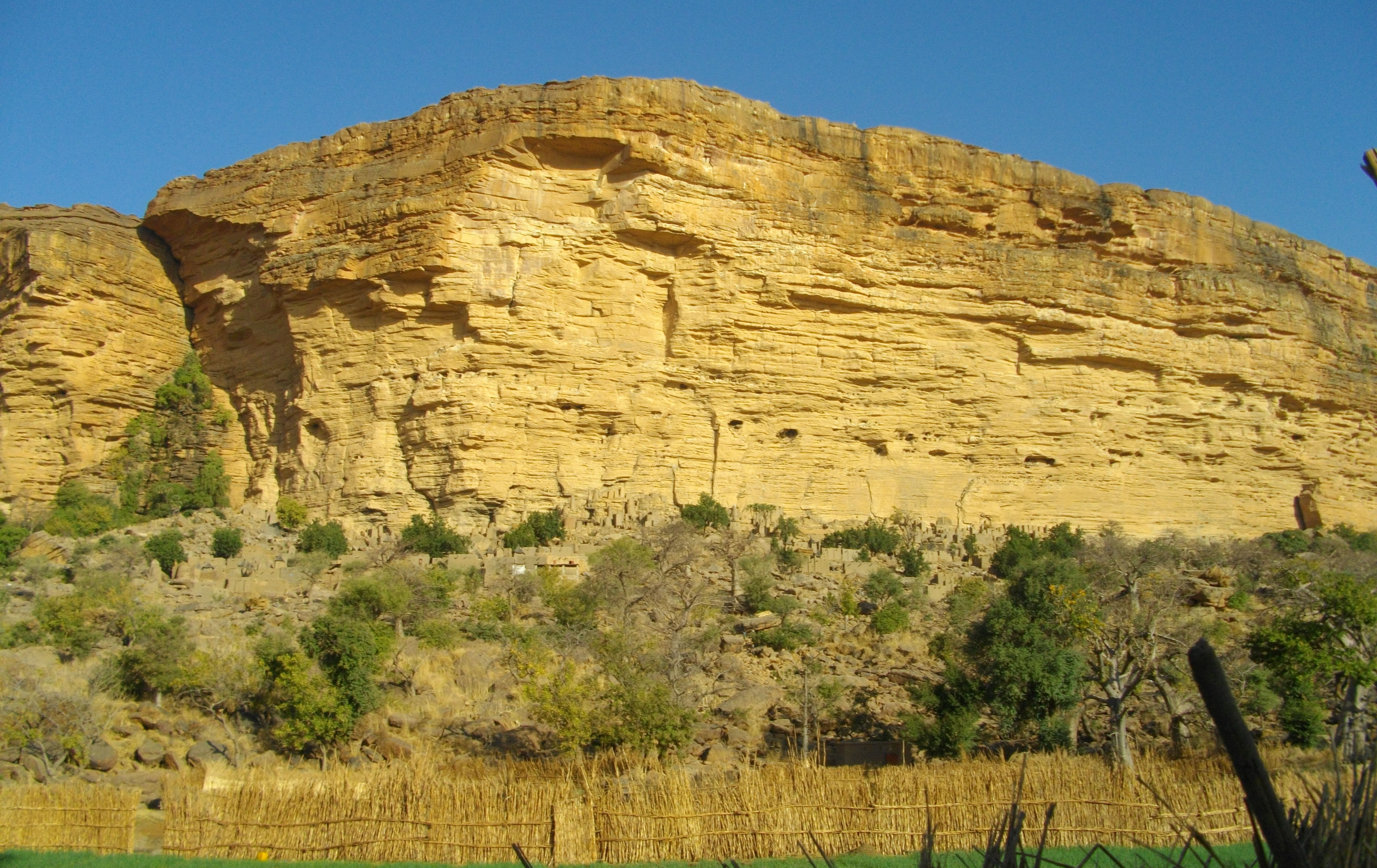 image Dogon