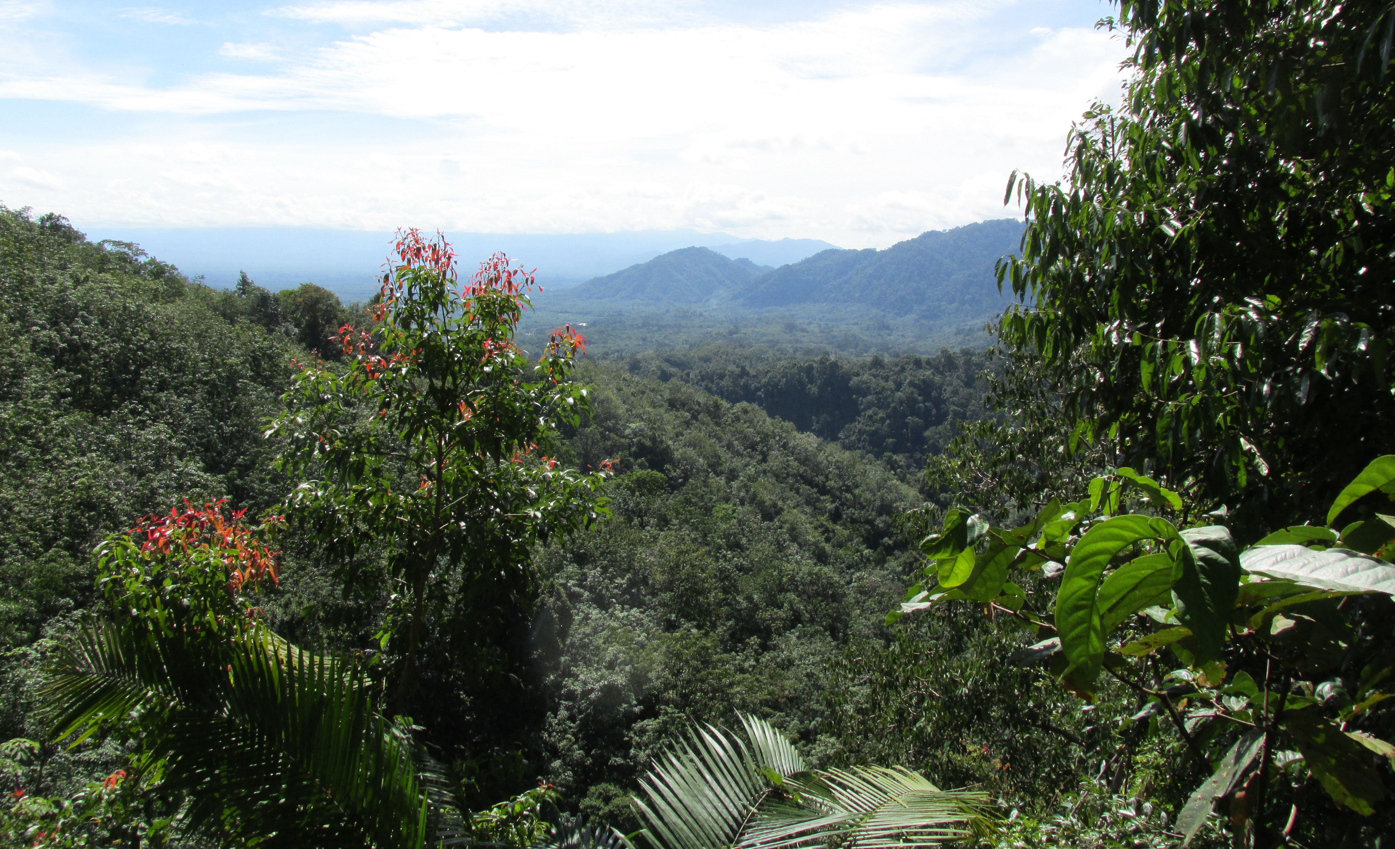 image Sumatera Utara