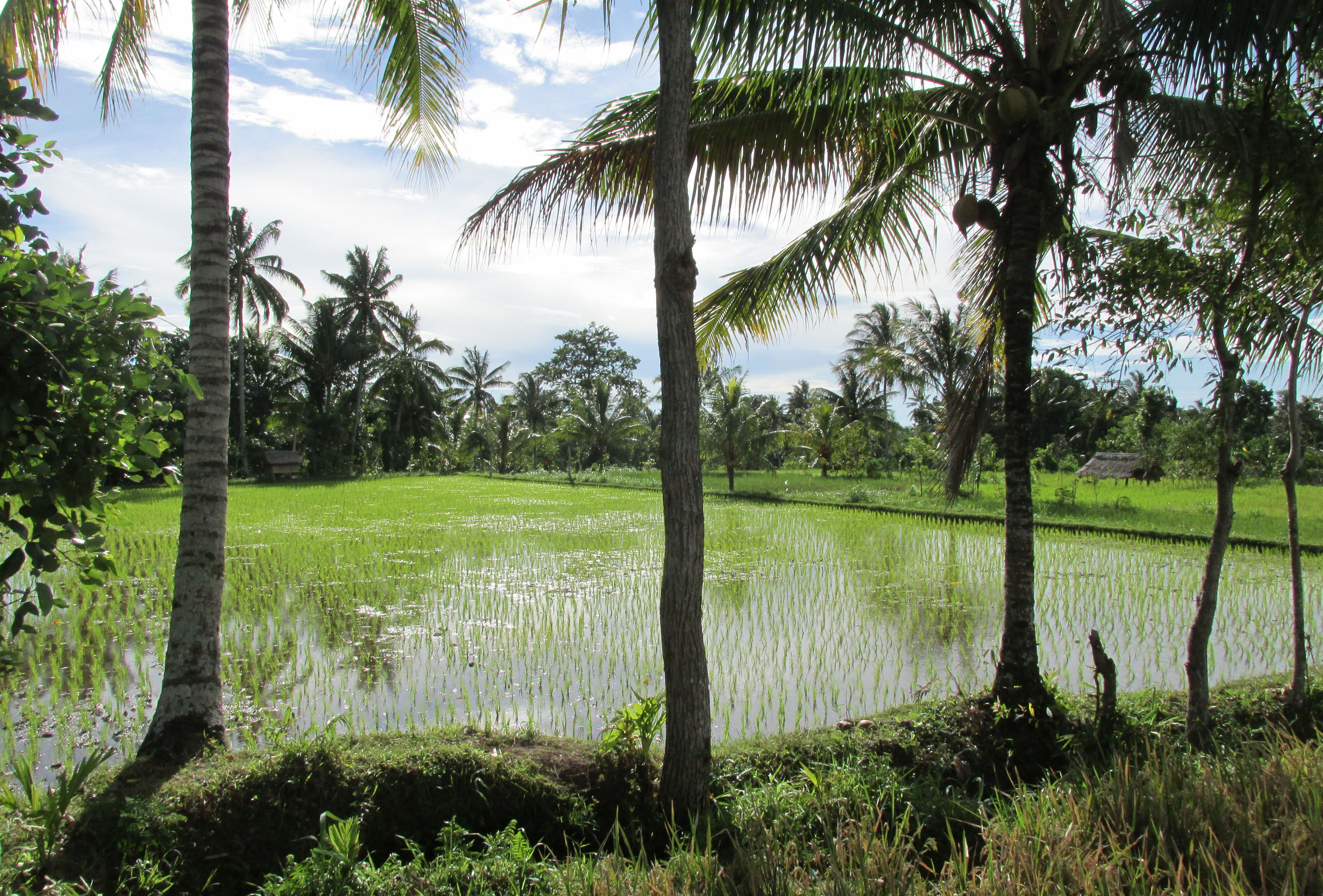 image Nusa Tenggara Barat