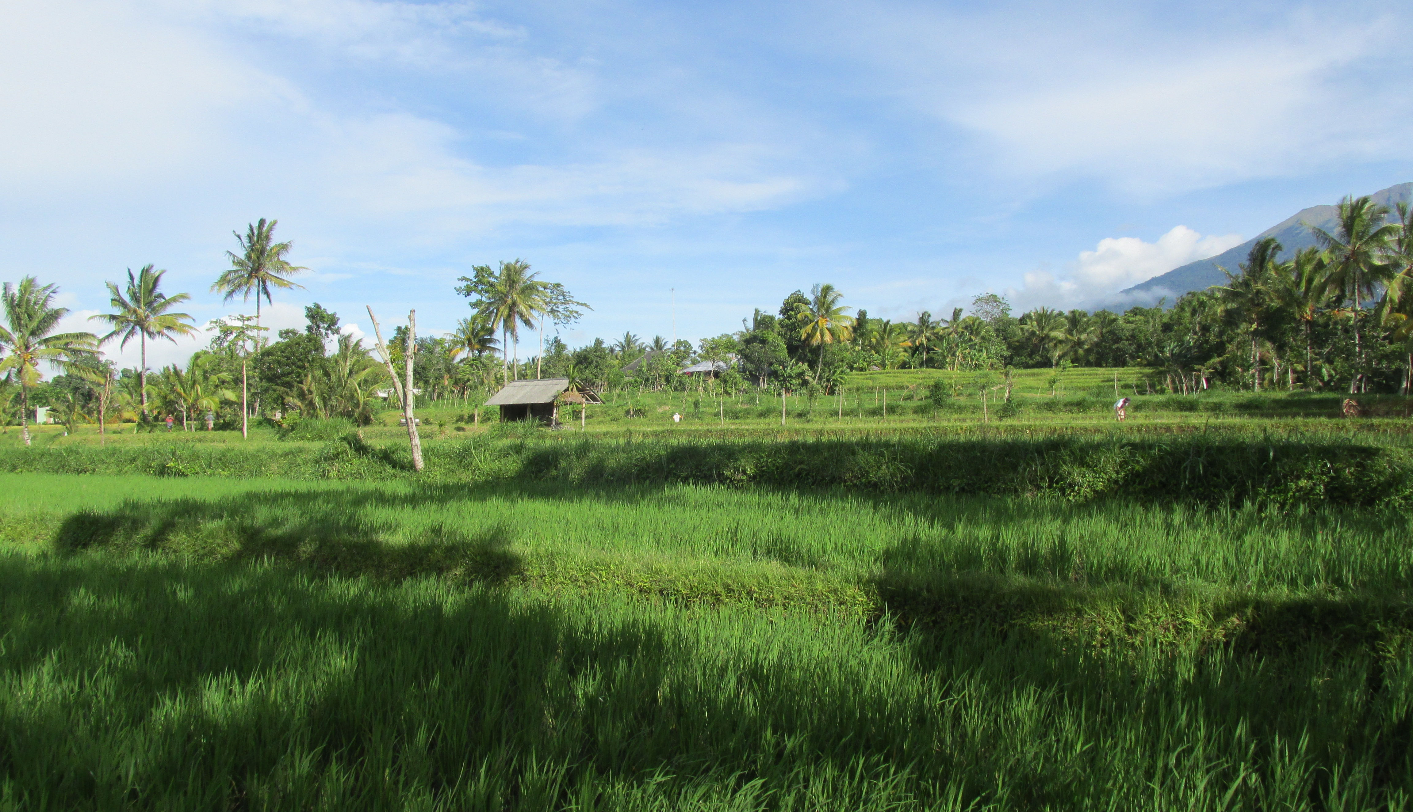 image Nusa Tenggara Barat