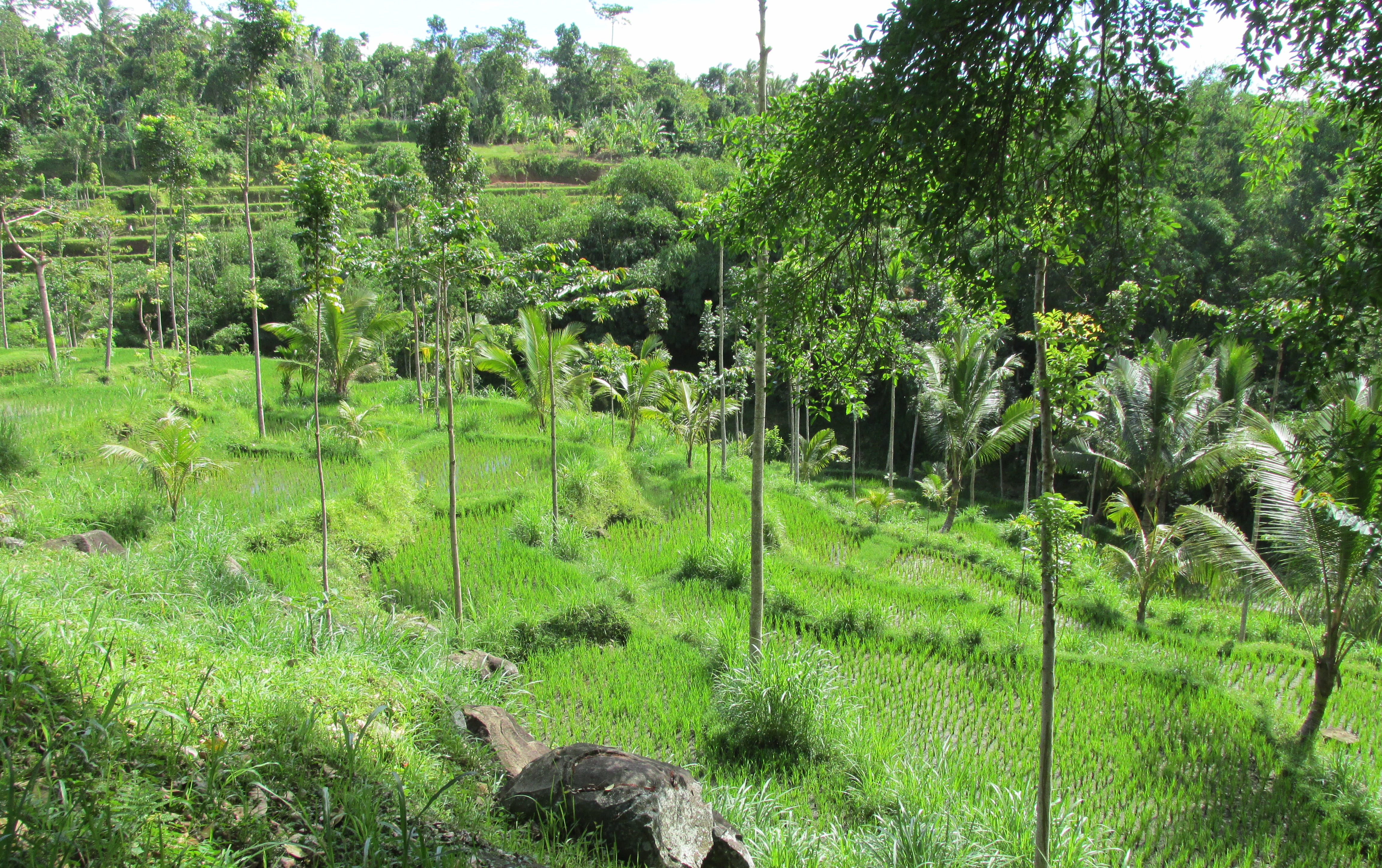 image Nusa Tenggara Barat