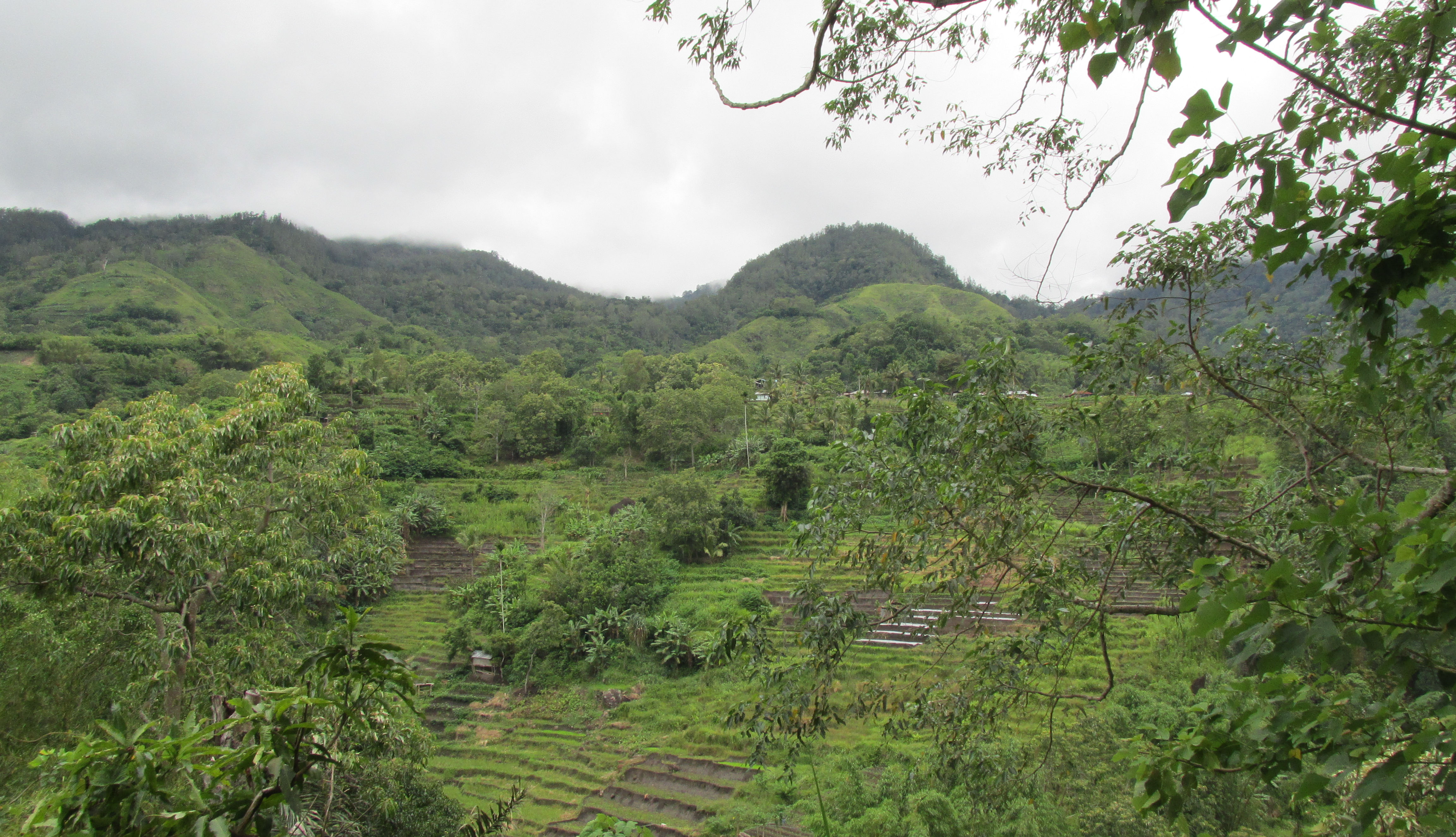 image Nusa Tenggara Timur