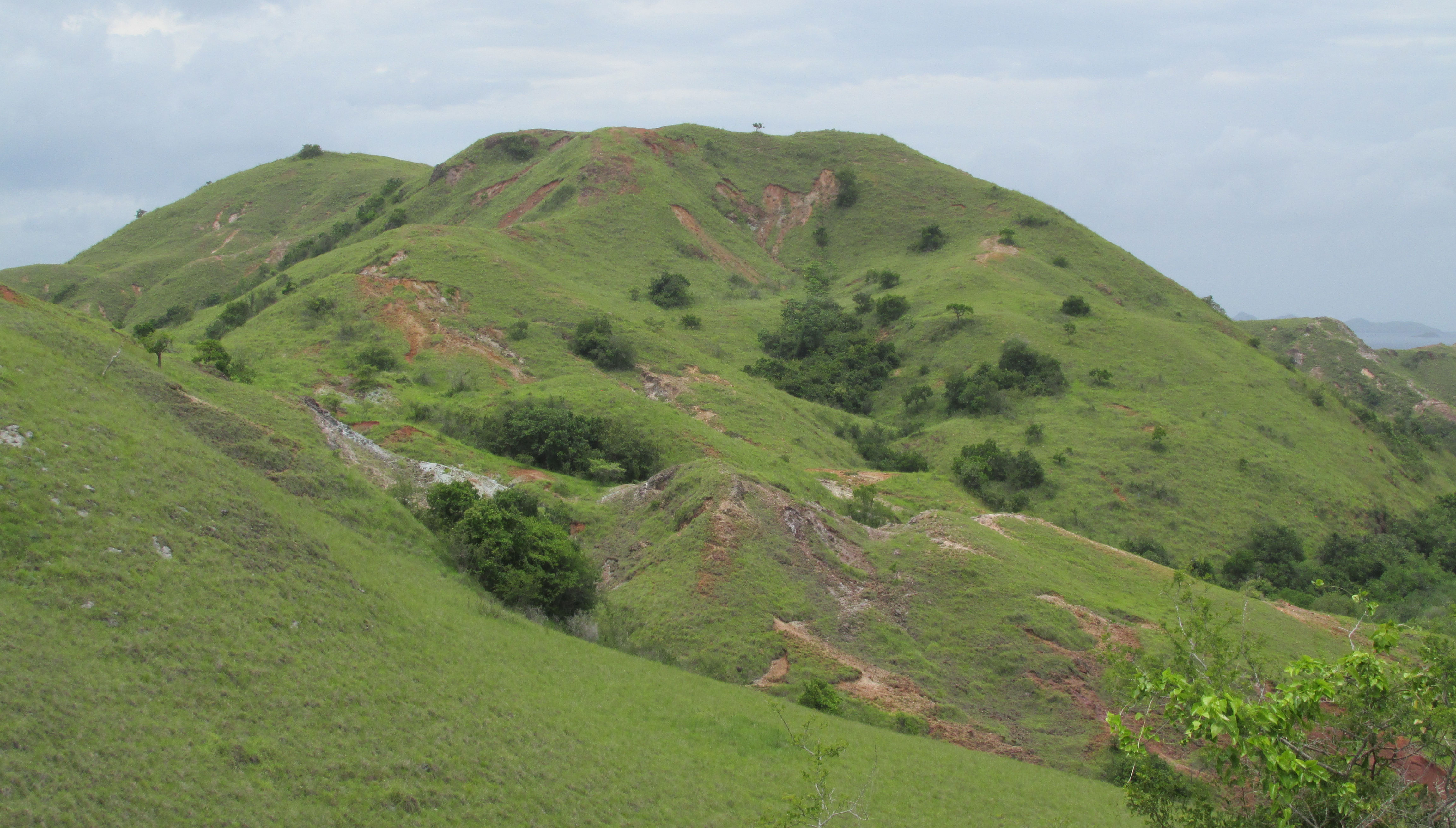 image Nusa Tenggara Timur