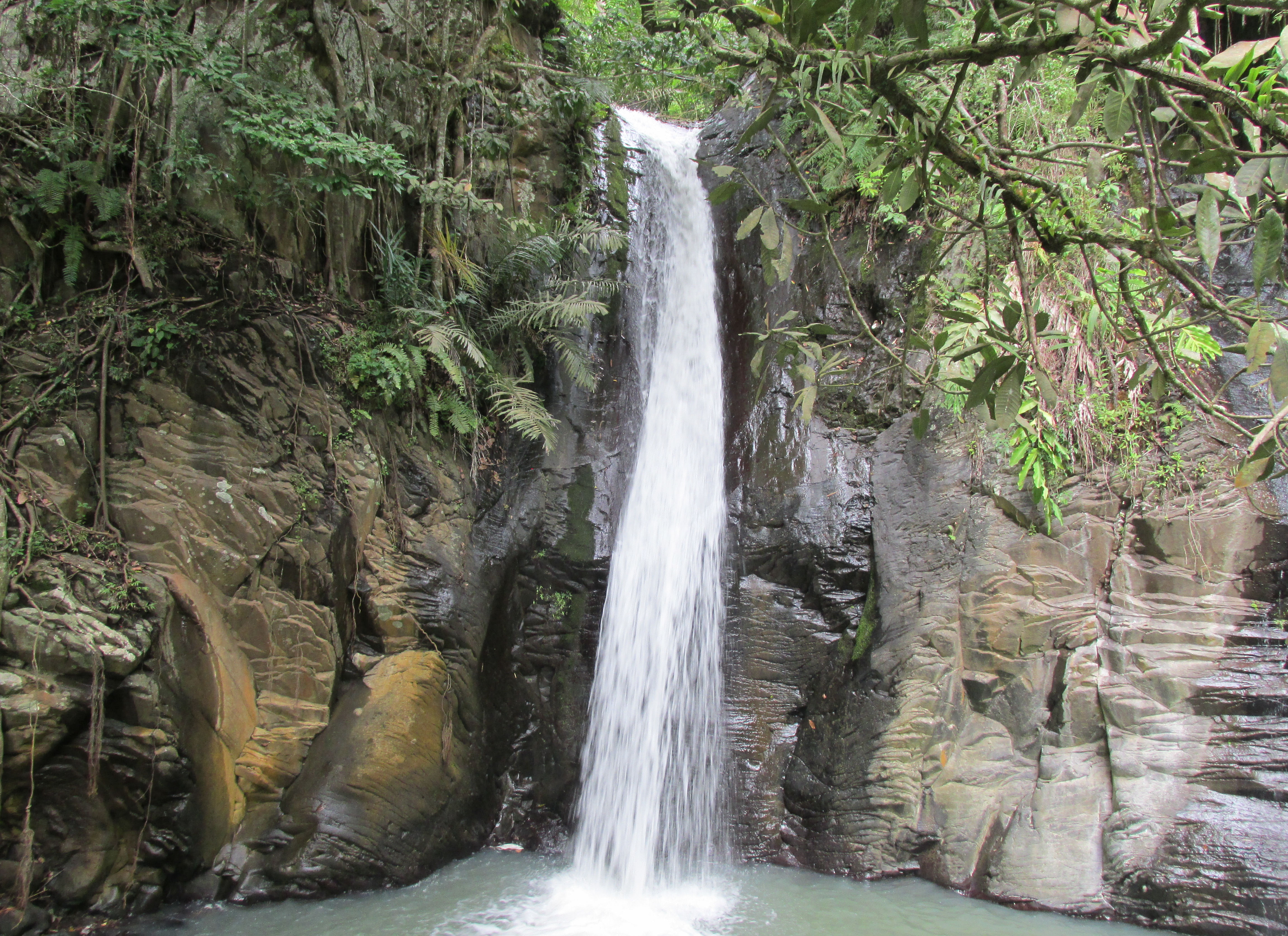 image Nusa Tenggara Timur