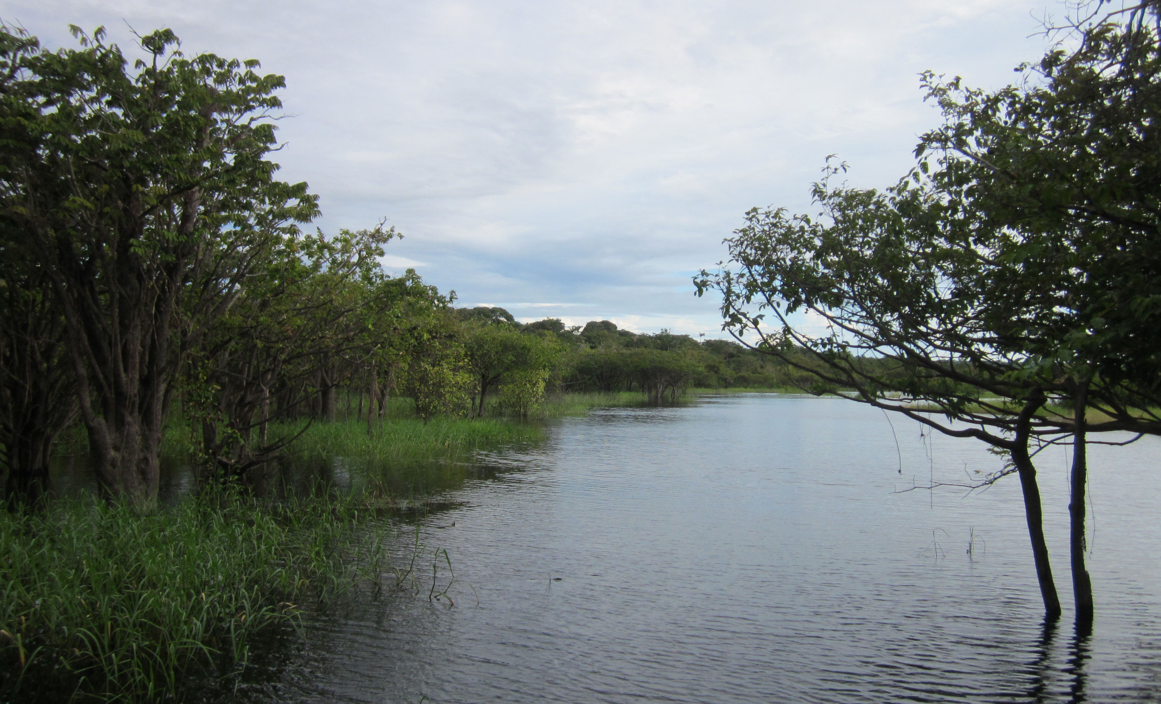 image Para