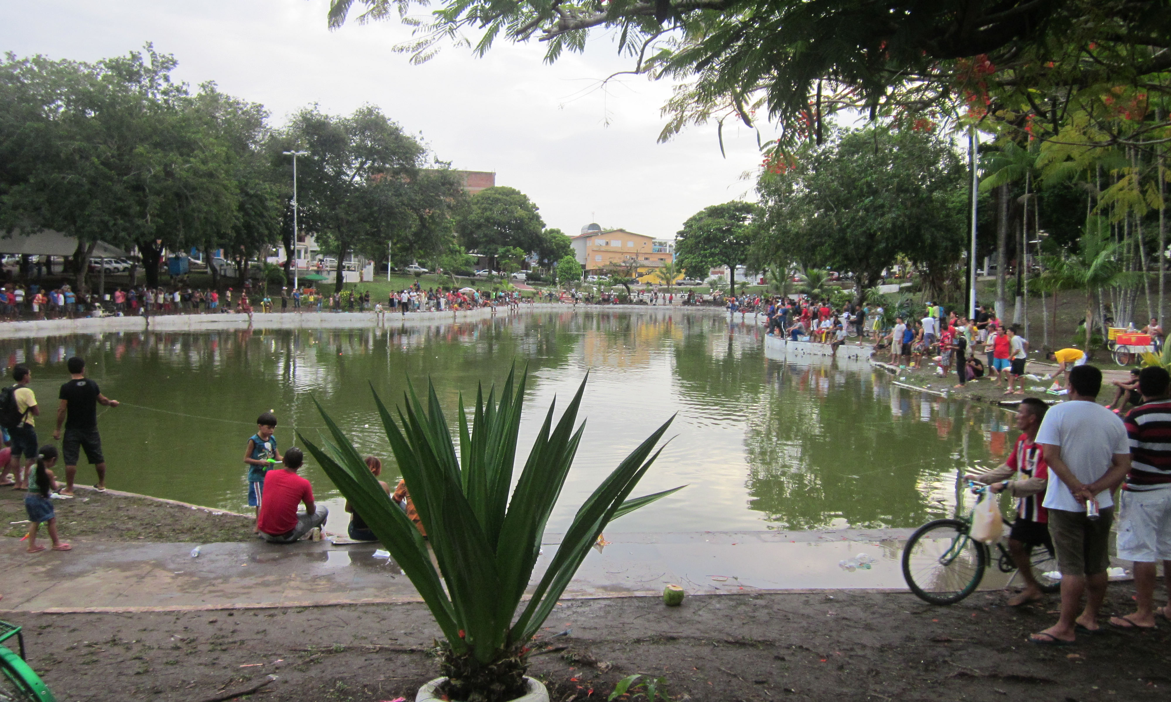 image Para
