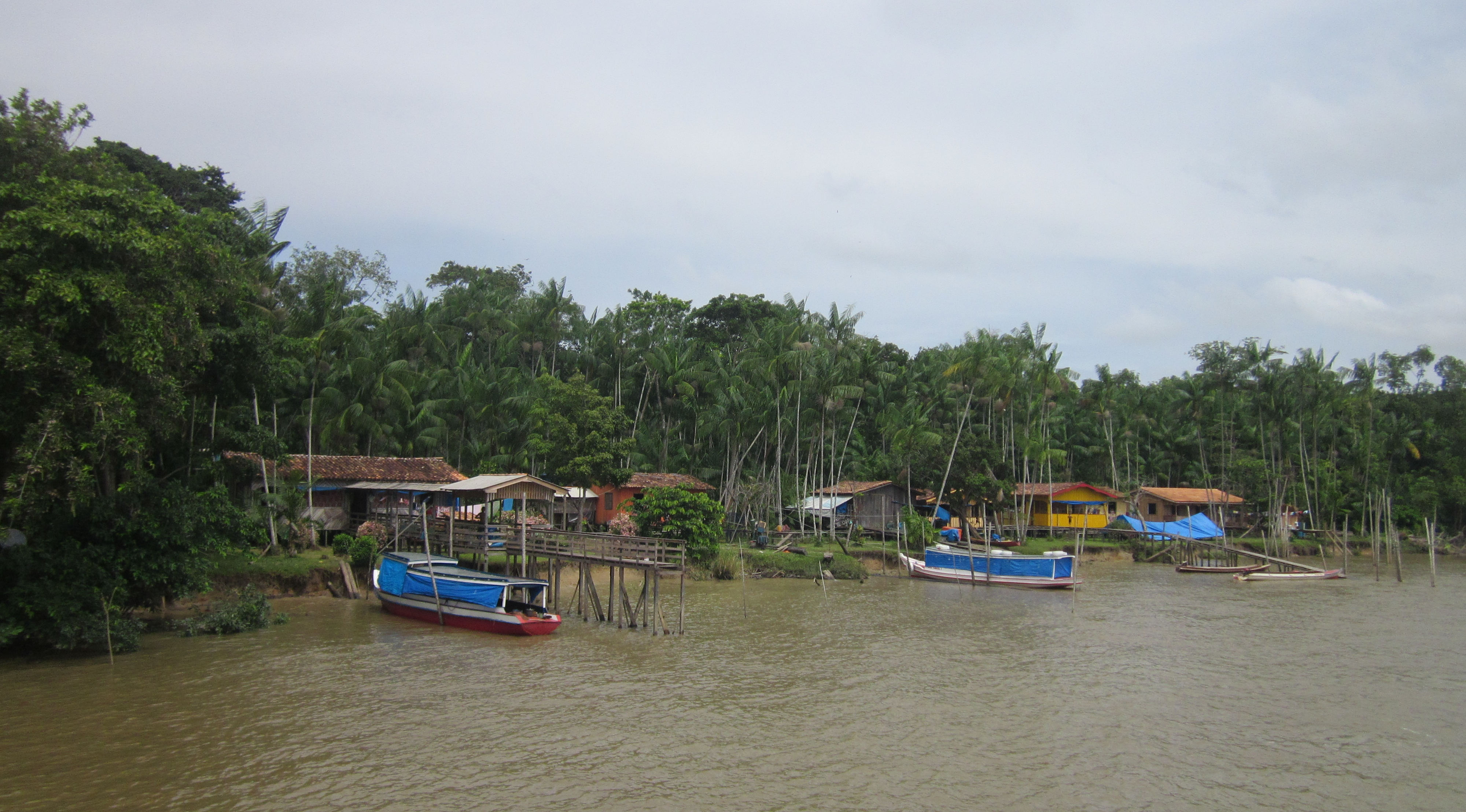 image Para